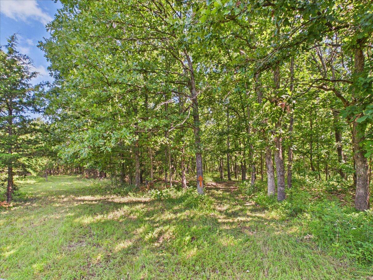 37 Middle Earth Trail Property Photo 80