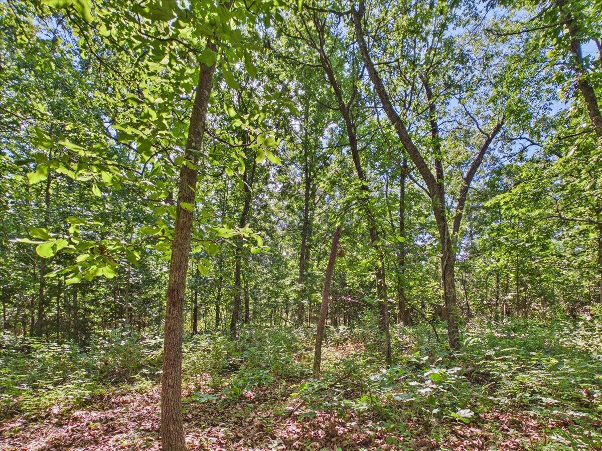 37 Middle Earth Trail Property Photo 81