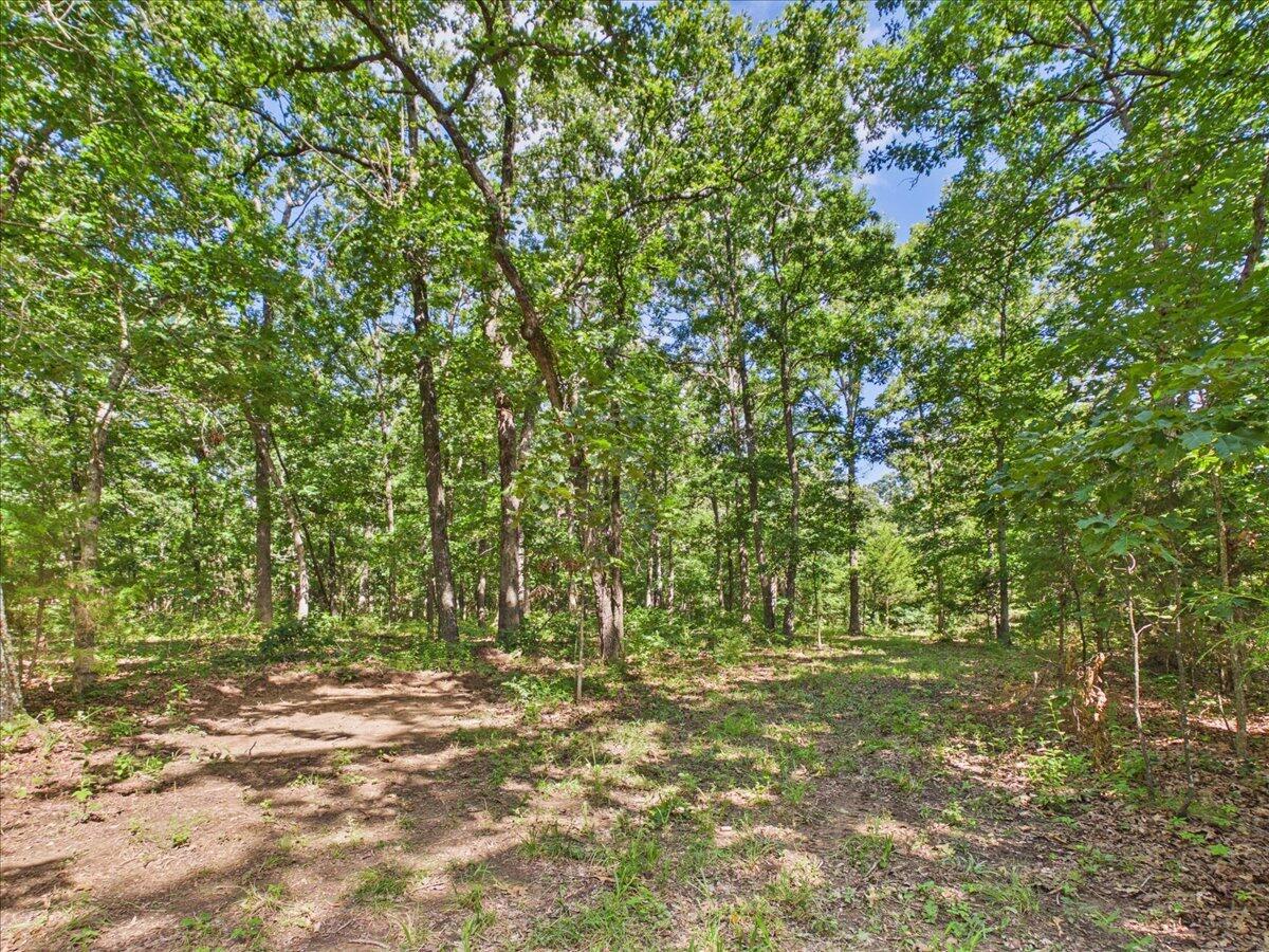 37 Middle Earth Trail Property Photo 82