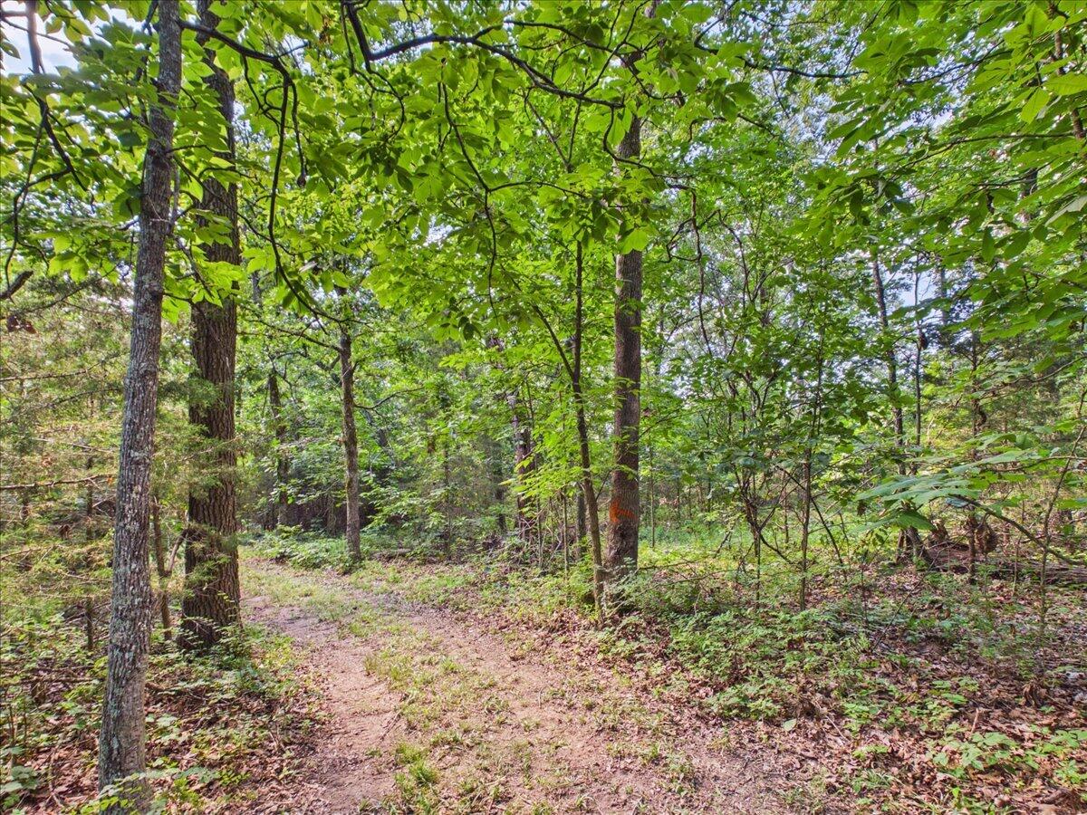 37 Middle Earth Trail Property Photo 83