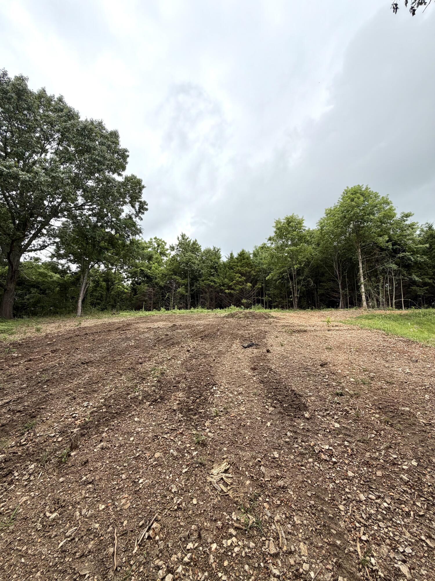 Lot 12 Hanging Branch Property Photo 4