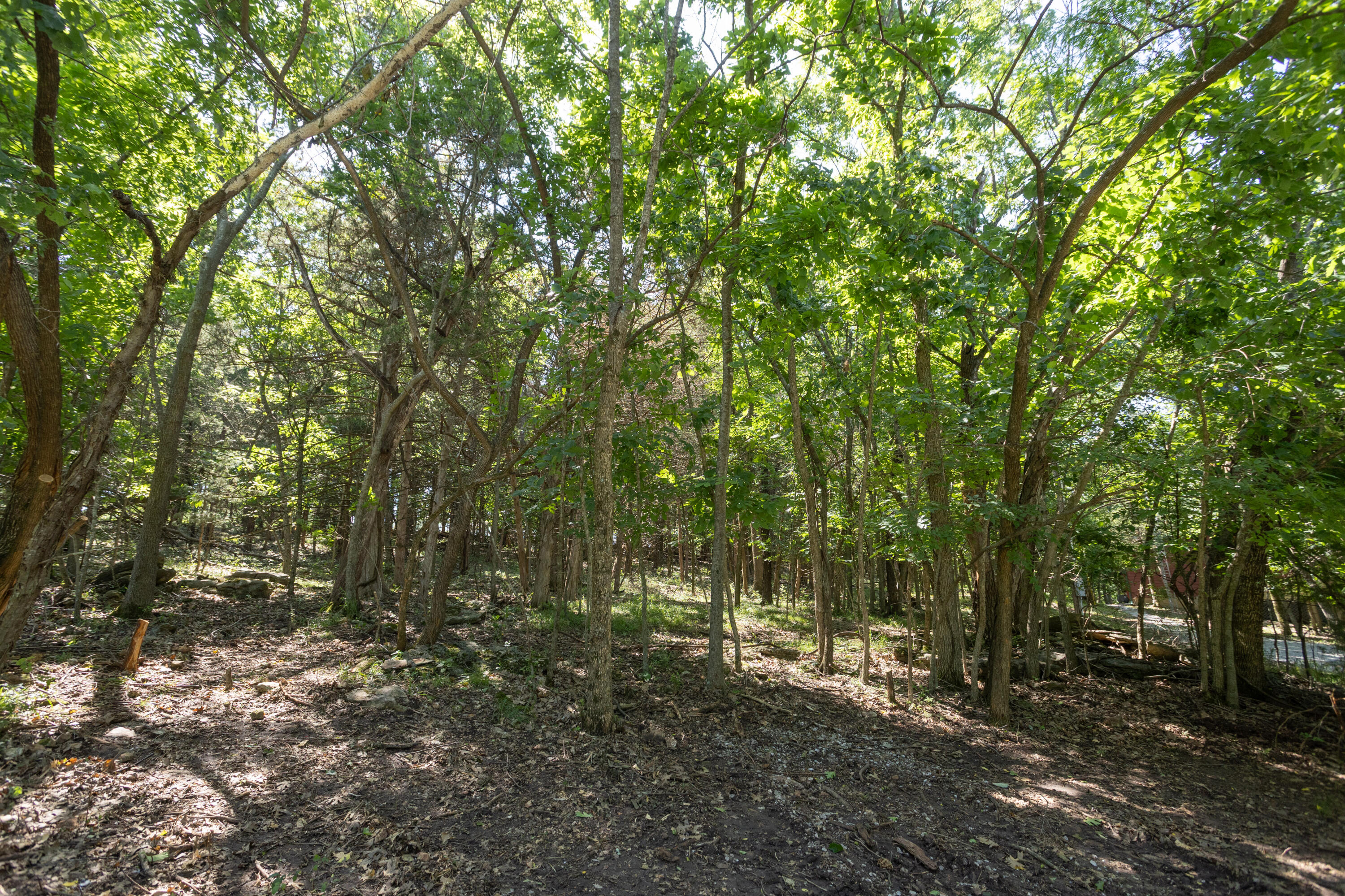 14932 Honeydew Road Property Photo 66