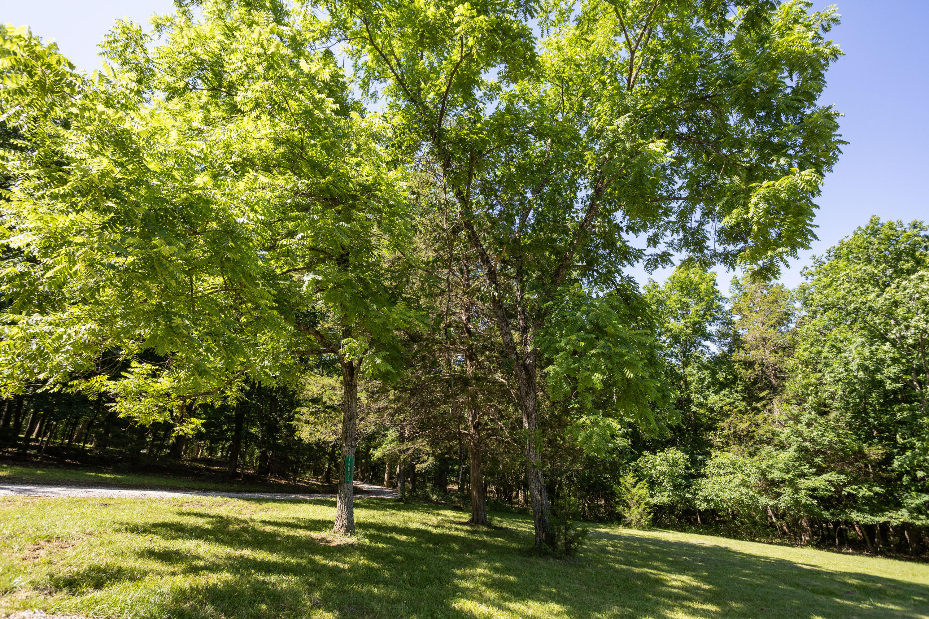 14932 Honeydew Road Property Photo 68