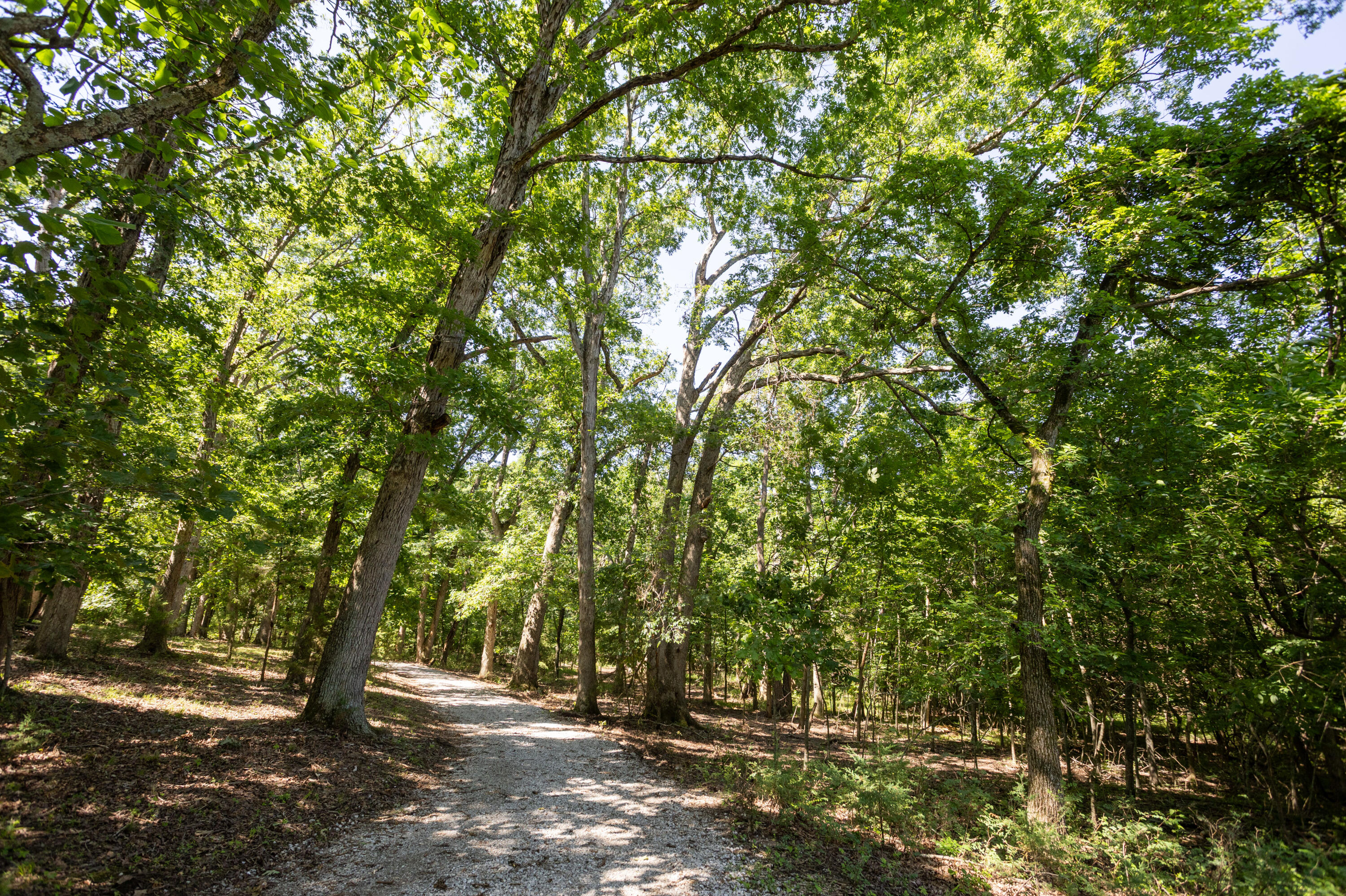 14932 Honeydew Road Property Photo 69