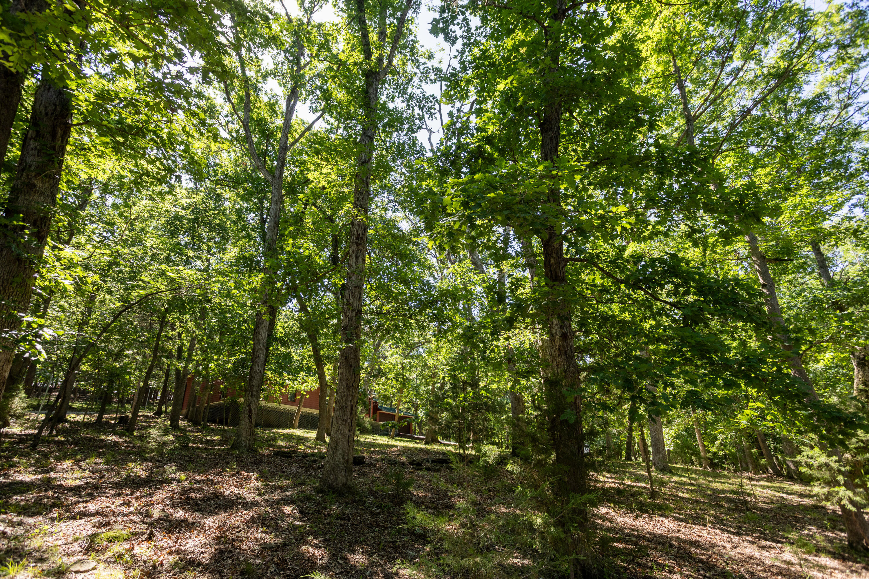 14932 Honeydew Road Property Photo 70