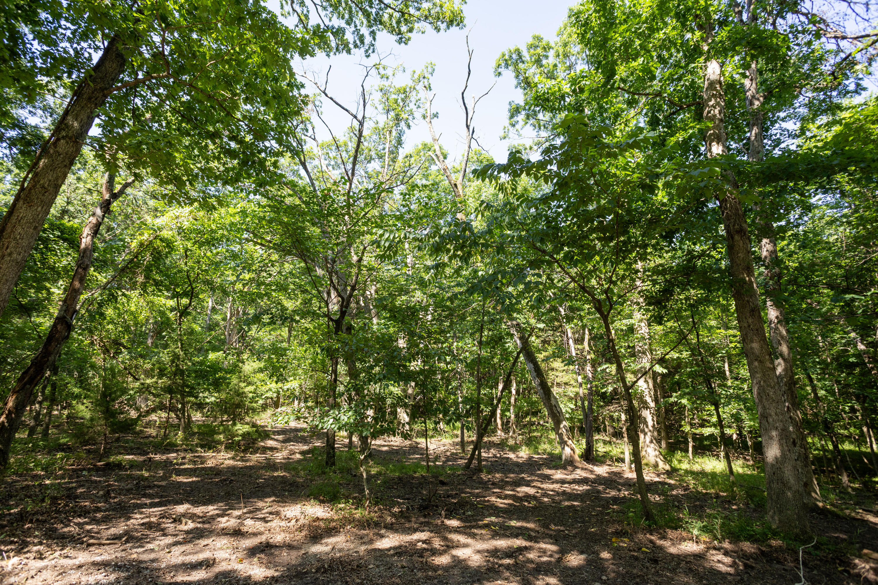 14932 Honeydew Road Property Photo 71