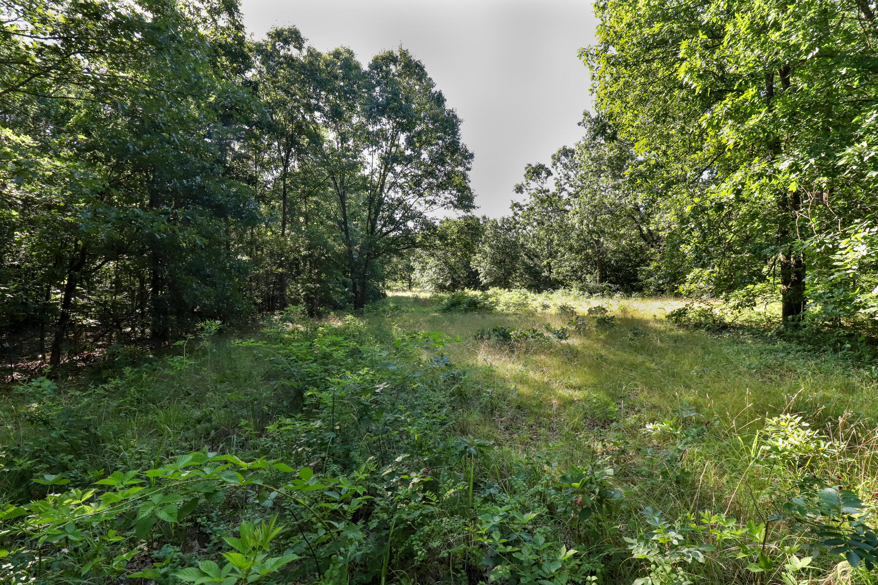 000 Private Drive Off Of Fr 1245 Property Photo 21