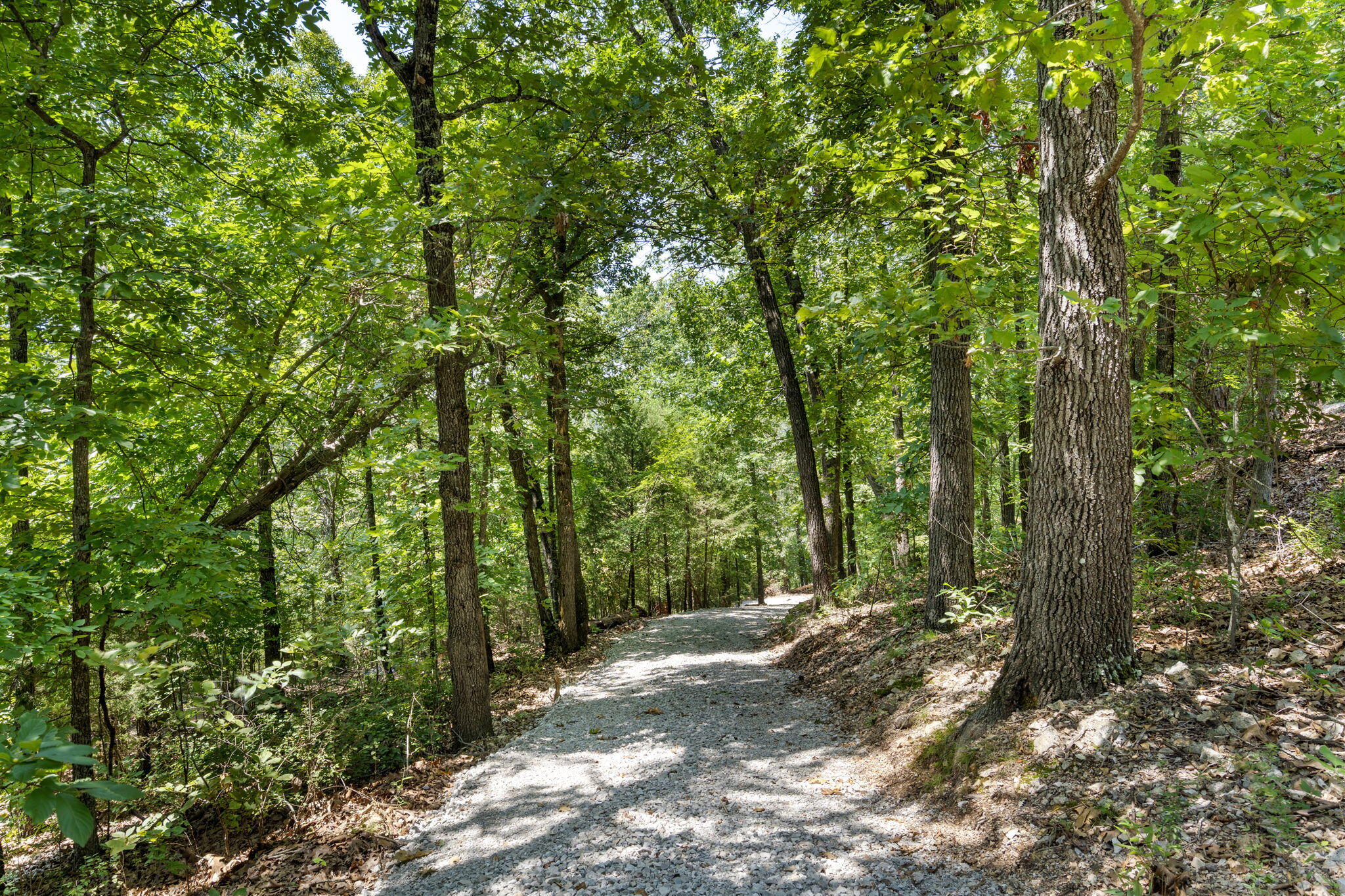 Tbd Wildlife Trail Property Photo 3