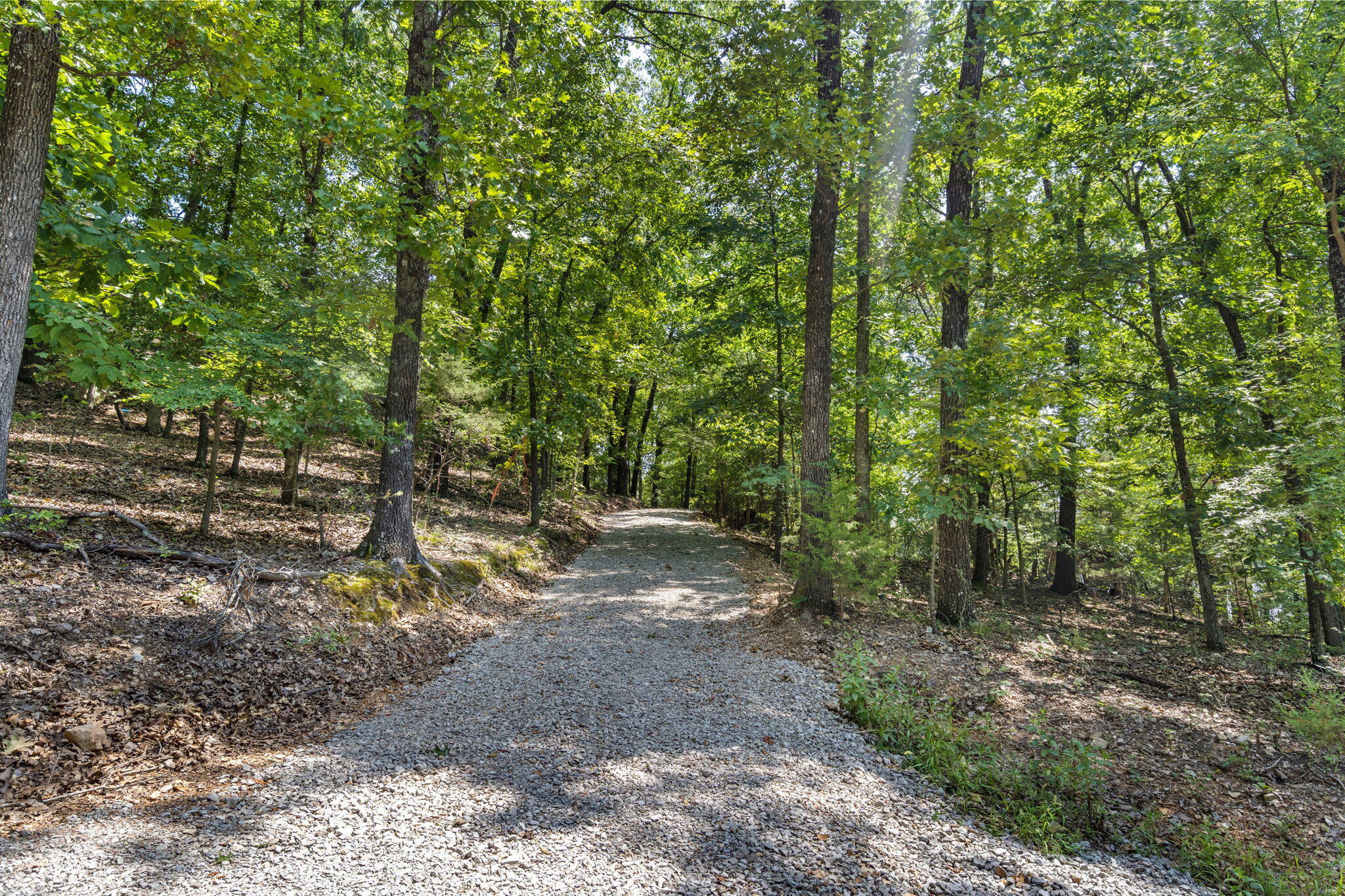 Tbd Wildlife Trail Property Photo 4