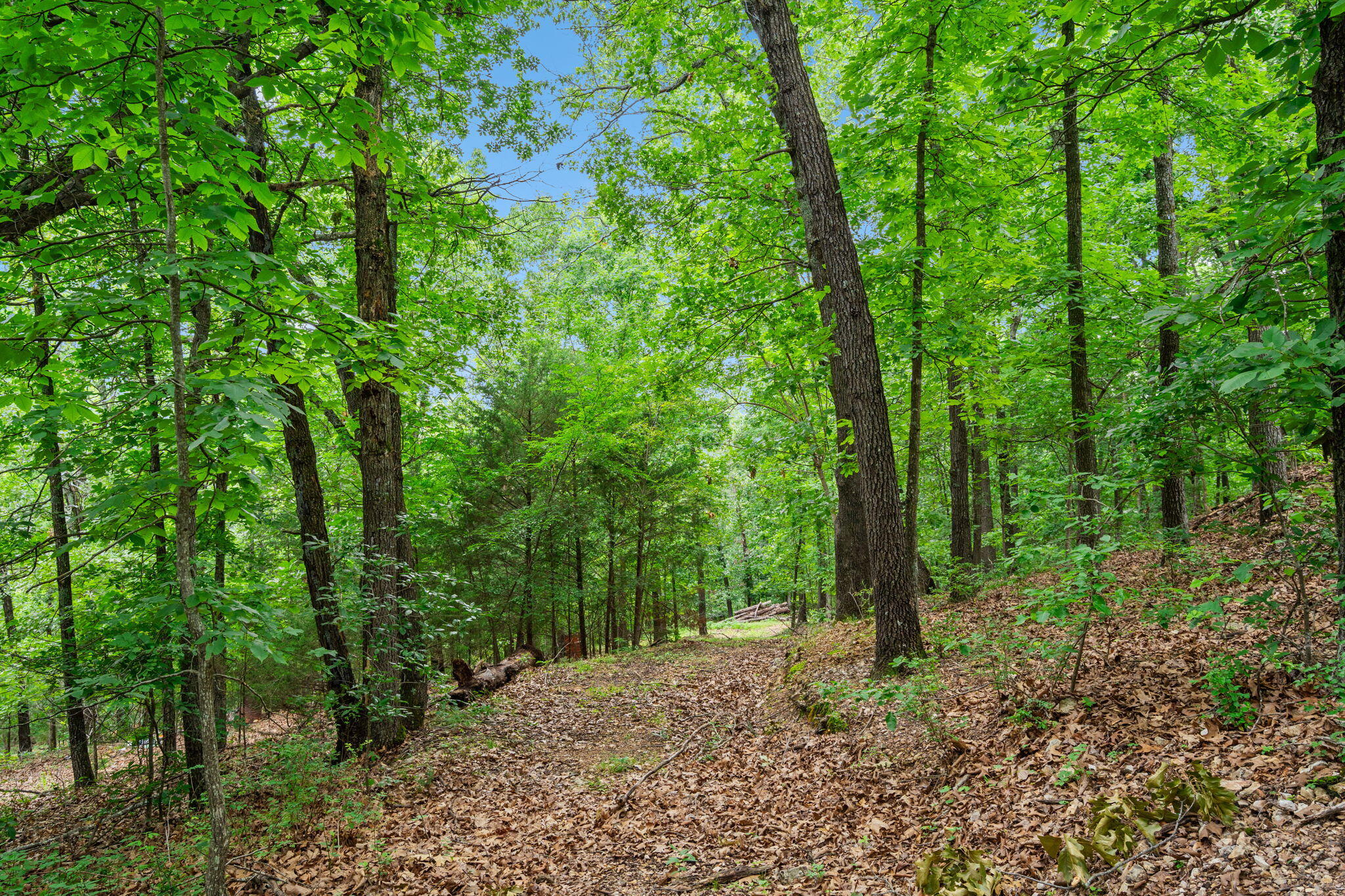 Tbd Wildlife Trail Property Photo 11