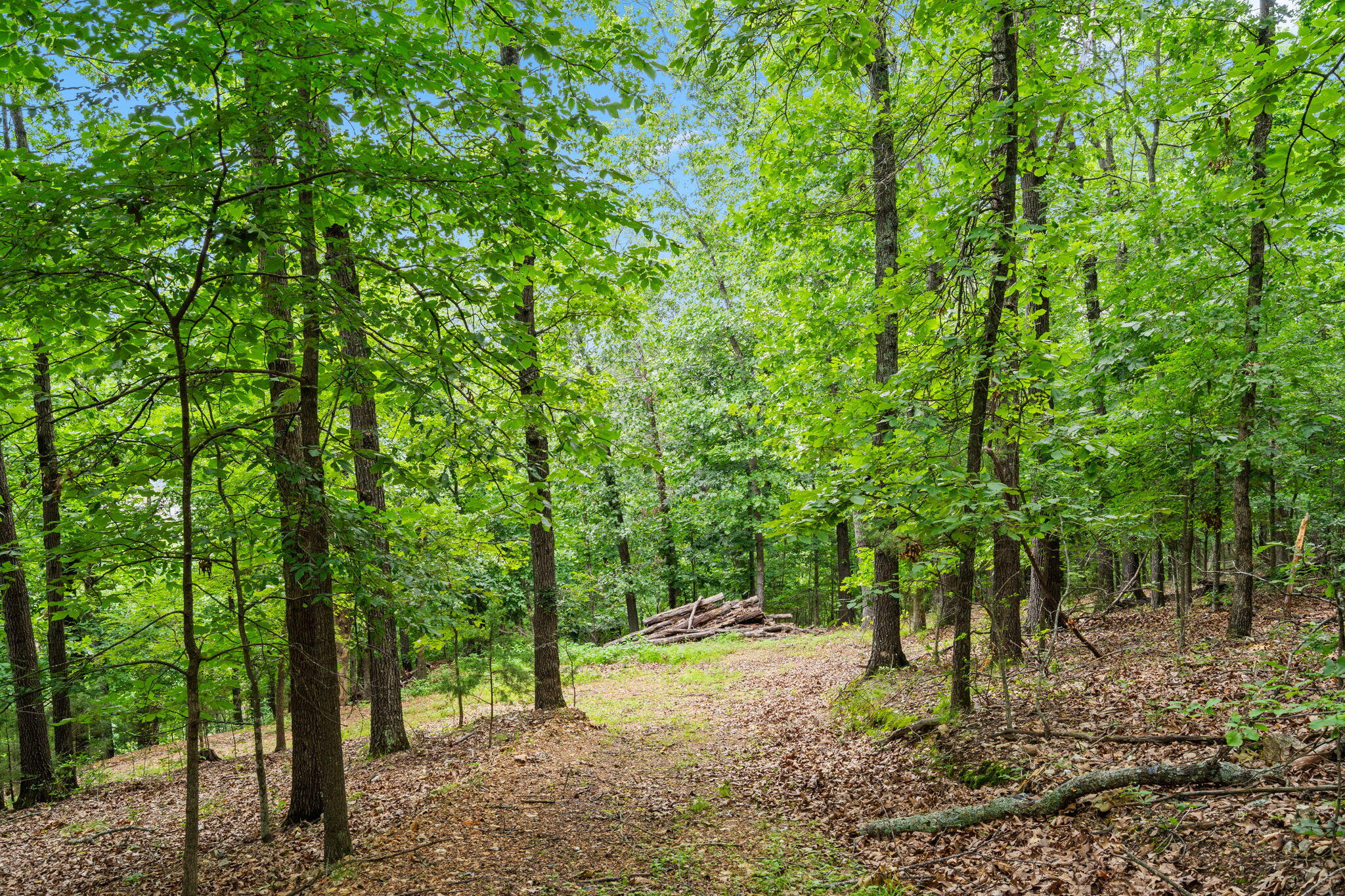 Tbd Wildlife Trail Property Photo 12