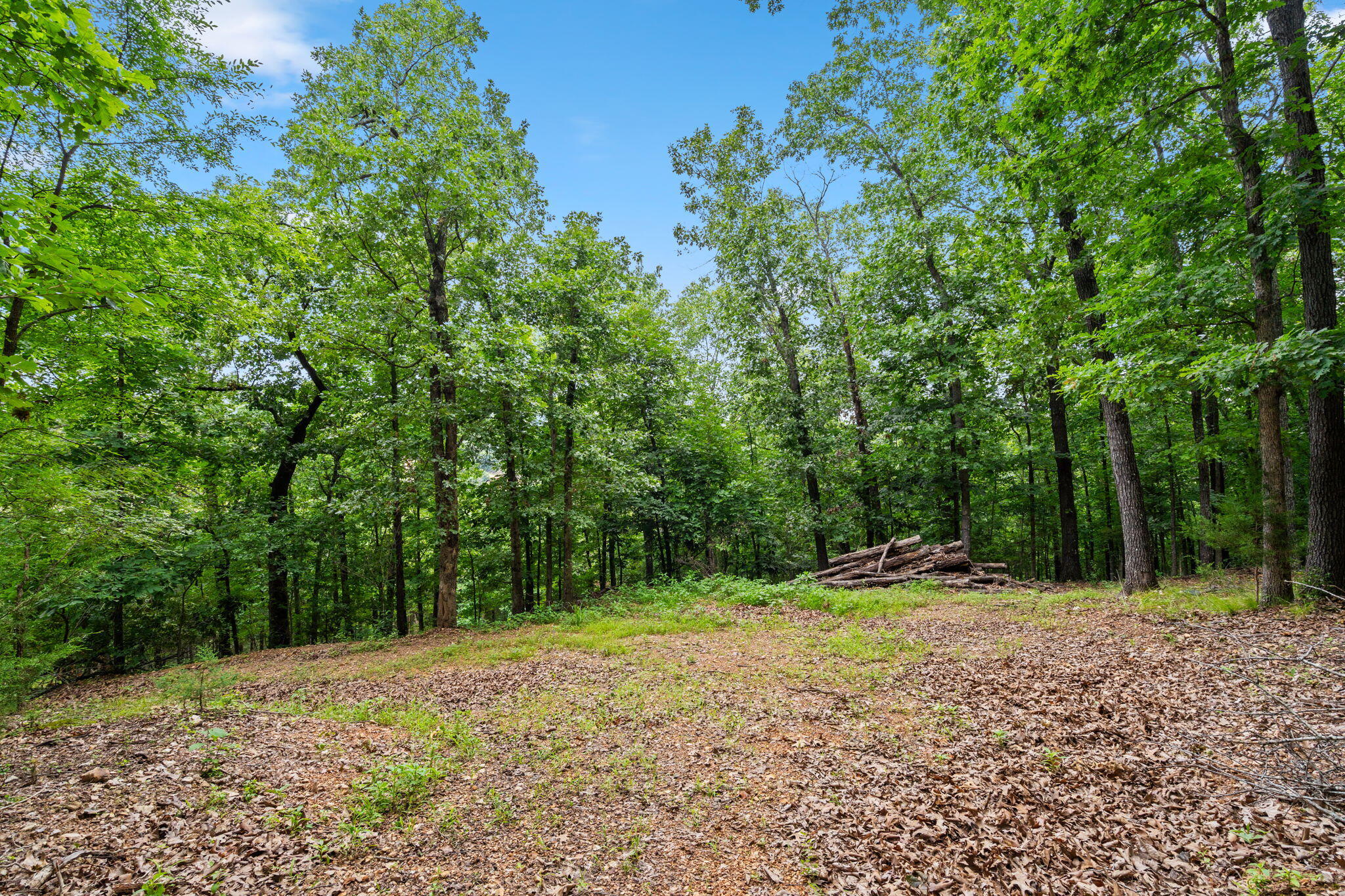 Tbd Wildlife Trail Property Photo 13