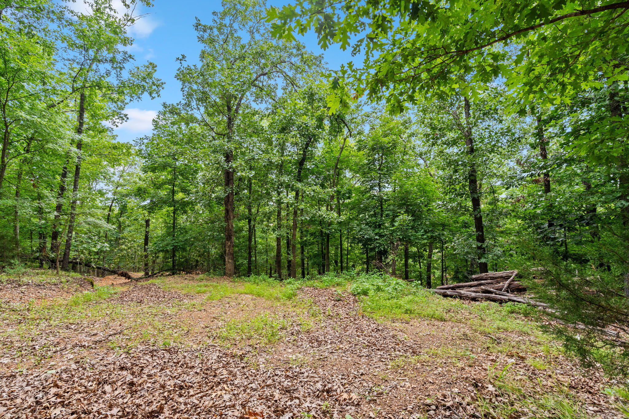 Tbd Wildlife Trail Property Photo 14
