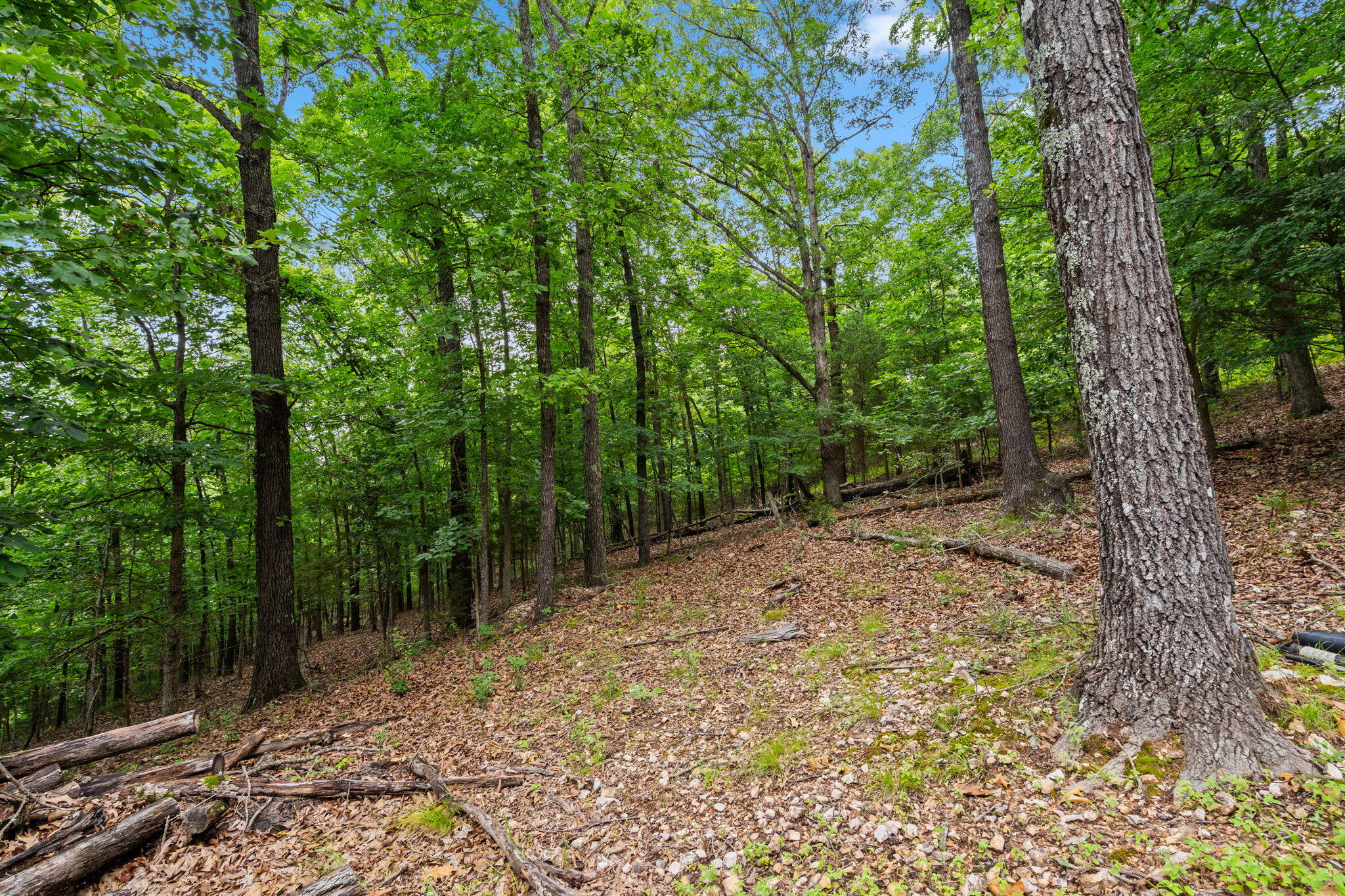 Tbd Wildlife Trail Property Photo 15