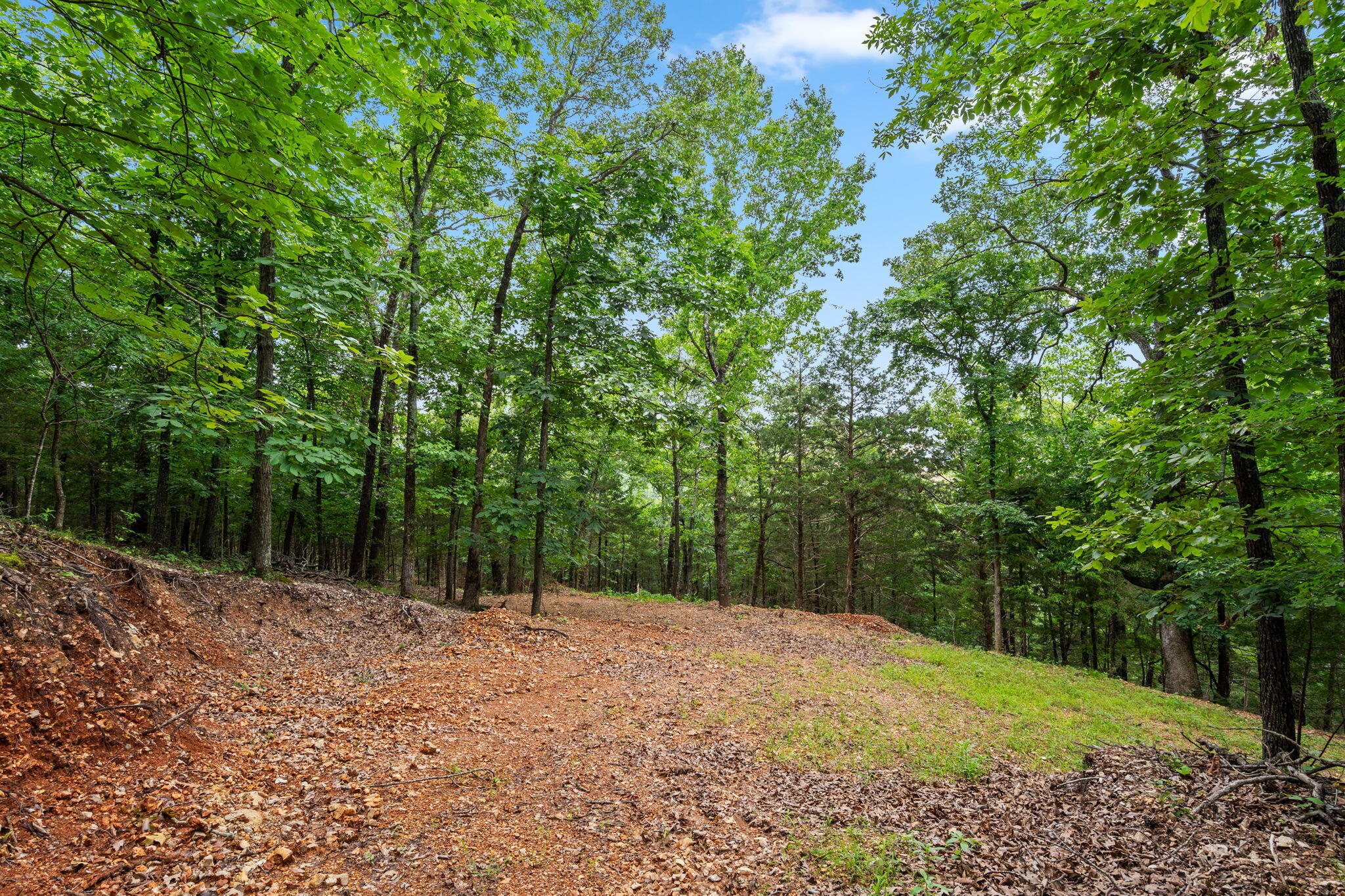 Tbd Wildlife Trail Property Photo 16