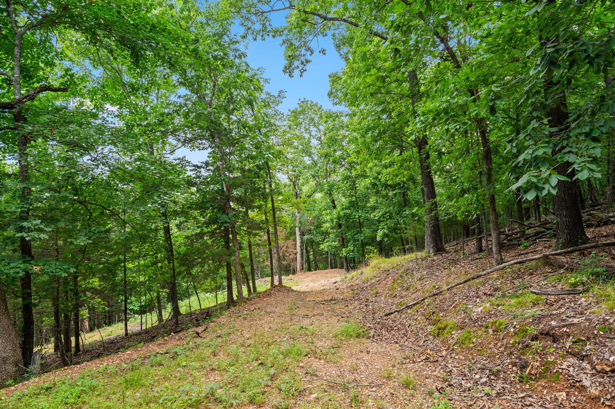 Tbd Wildlife Trail Property Photo 17