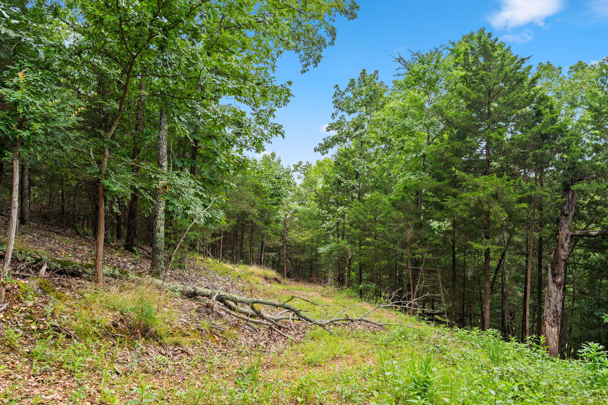Tbd Wildlife Trail Property Photo 18
