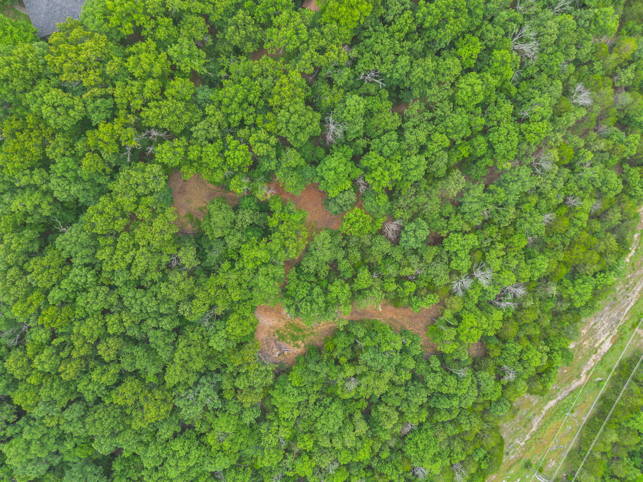 Tbd Wildlife Trail Property Photo 19