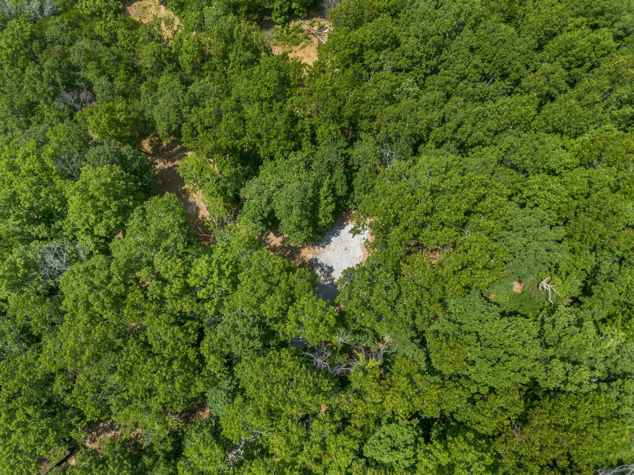 Tbd Wildlife Trail Property Photo 49