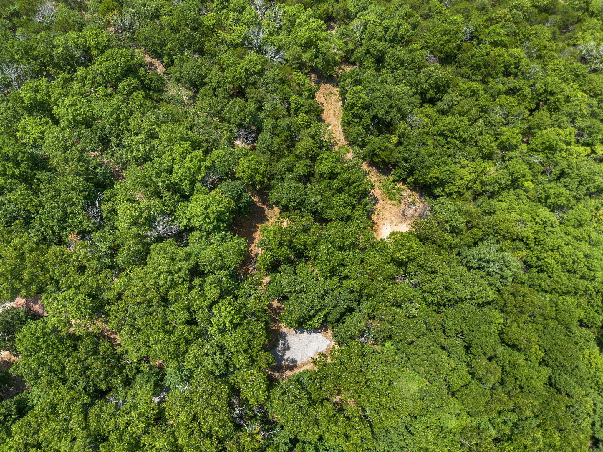 Tbd Wildlife Trail Property Photo 50