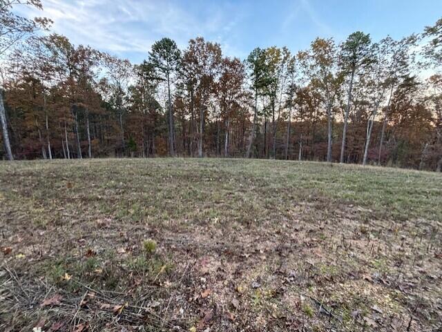 Tbd County Road 272 Property Photo 6