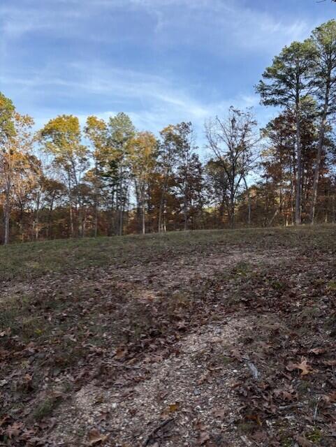 Tbd County Road 272 Property Photo 7