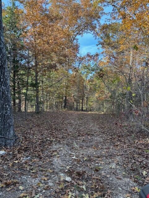 Tbd County Road 272 Property Photo 8