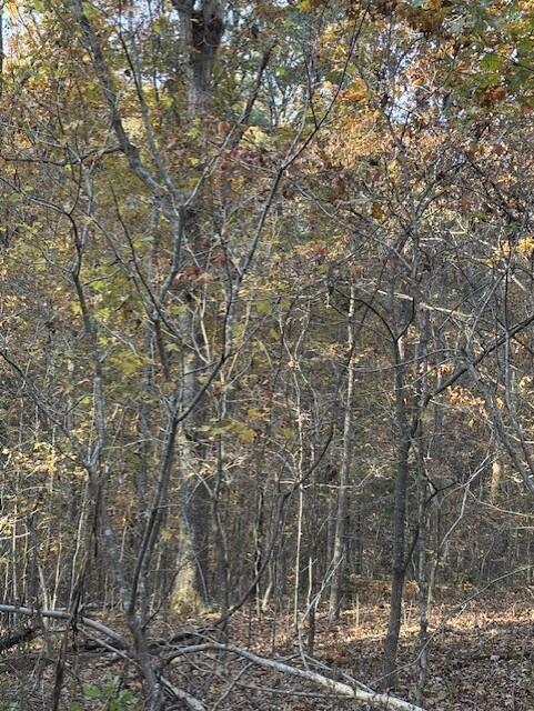 Tbd County Road 272 Property Photo 10