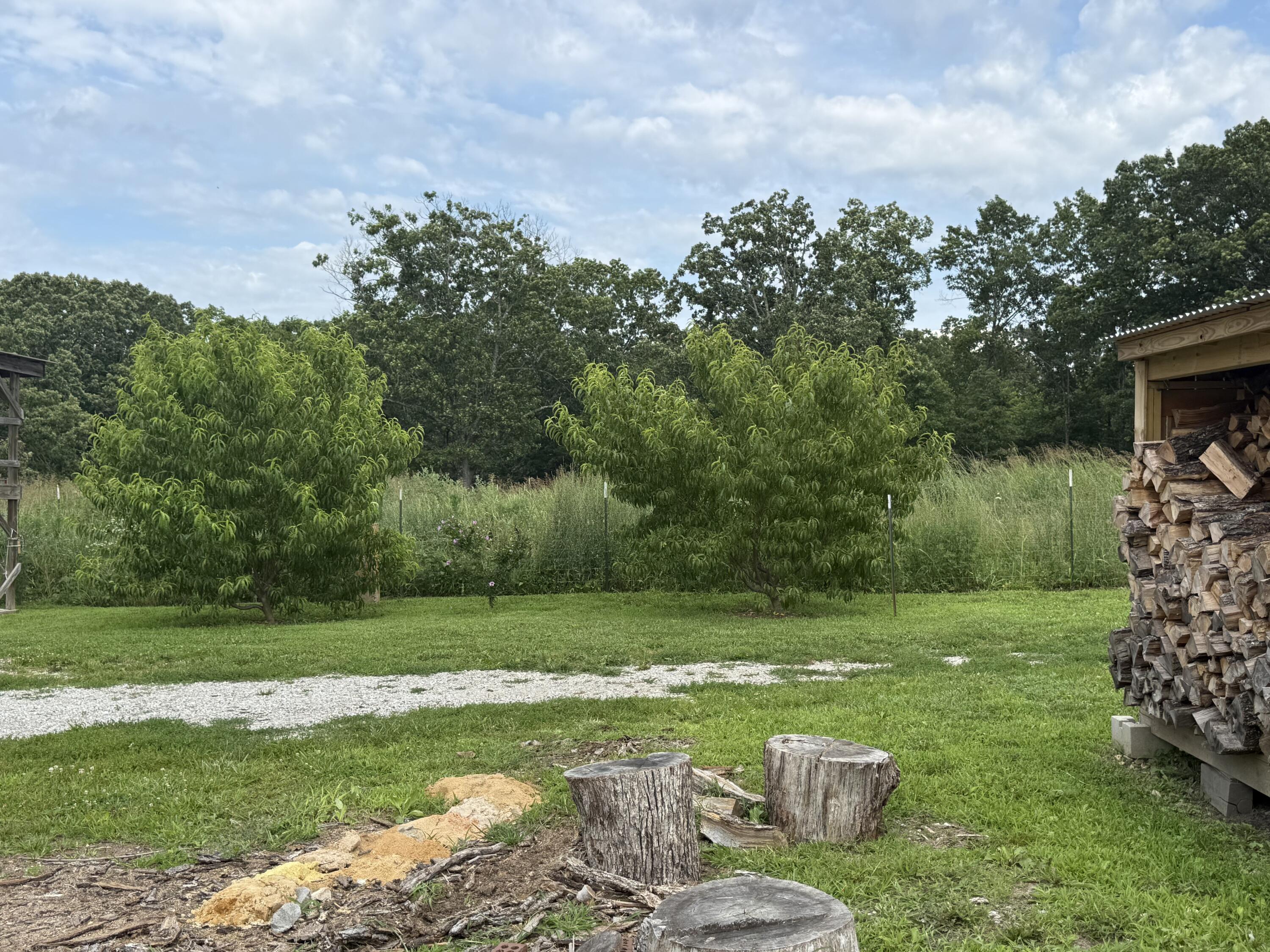 2463 State Highway Dd Property Photo 51