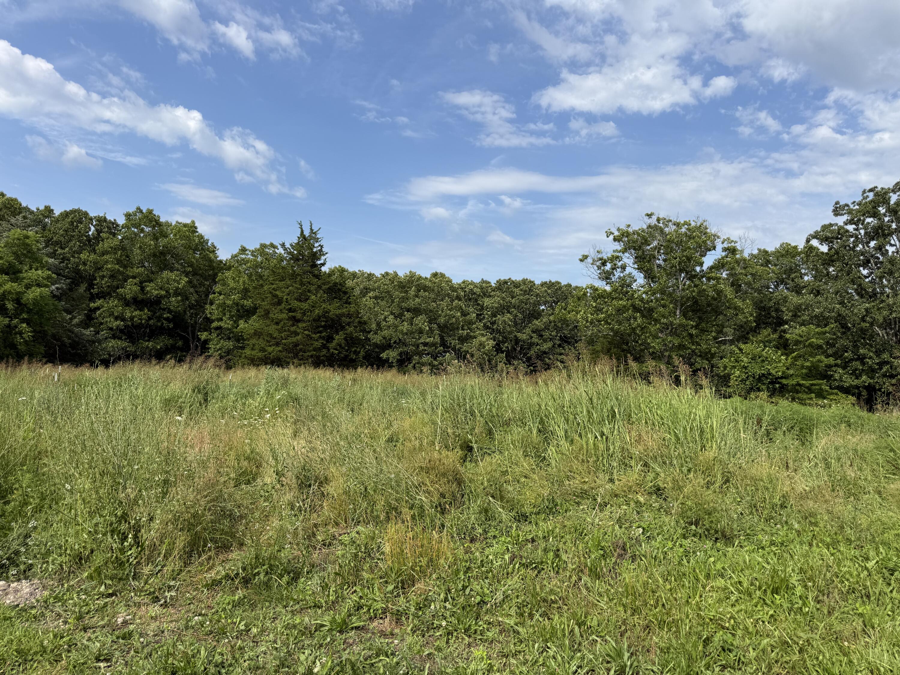 2463 State Highway Dd Property Photo 52