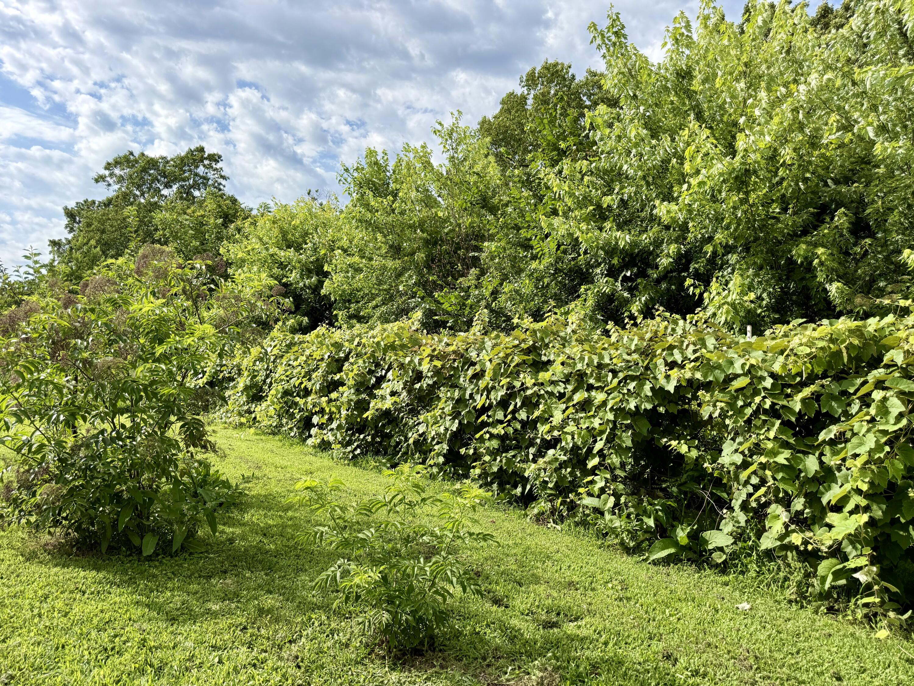 2463 State Highway Dd Property Photo 53