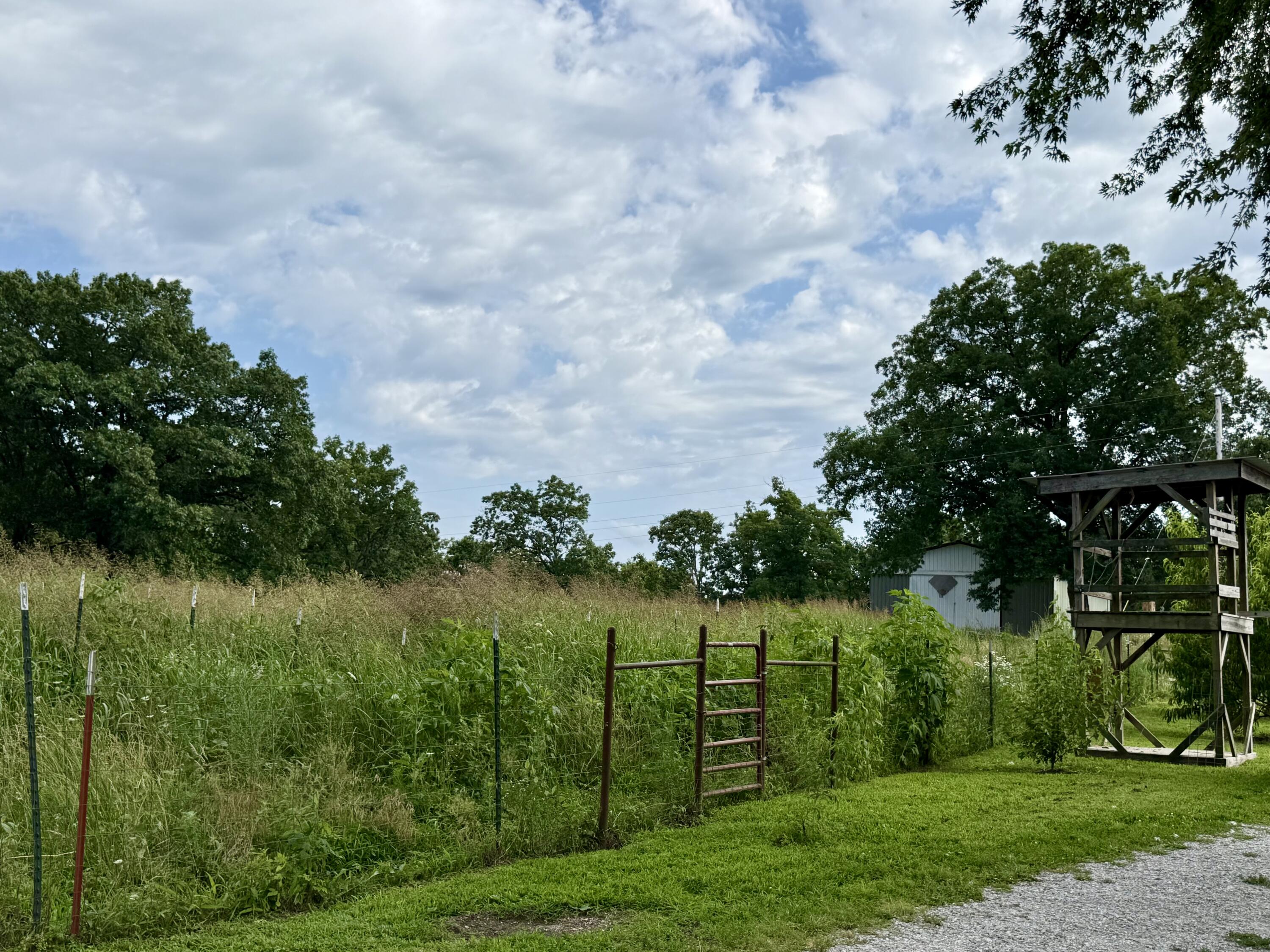 2463 State Highway Dd Property Photo 56