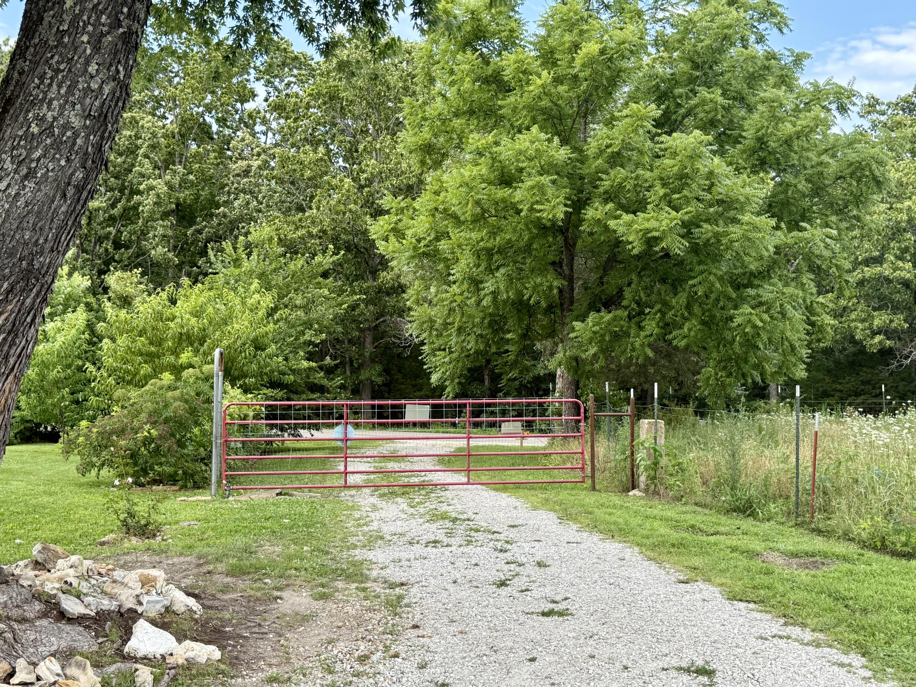 2463 State Highway Dd Property Photo 57