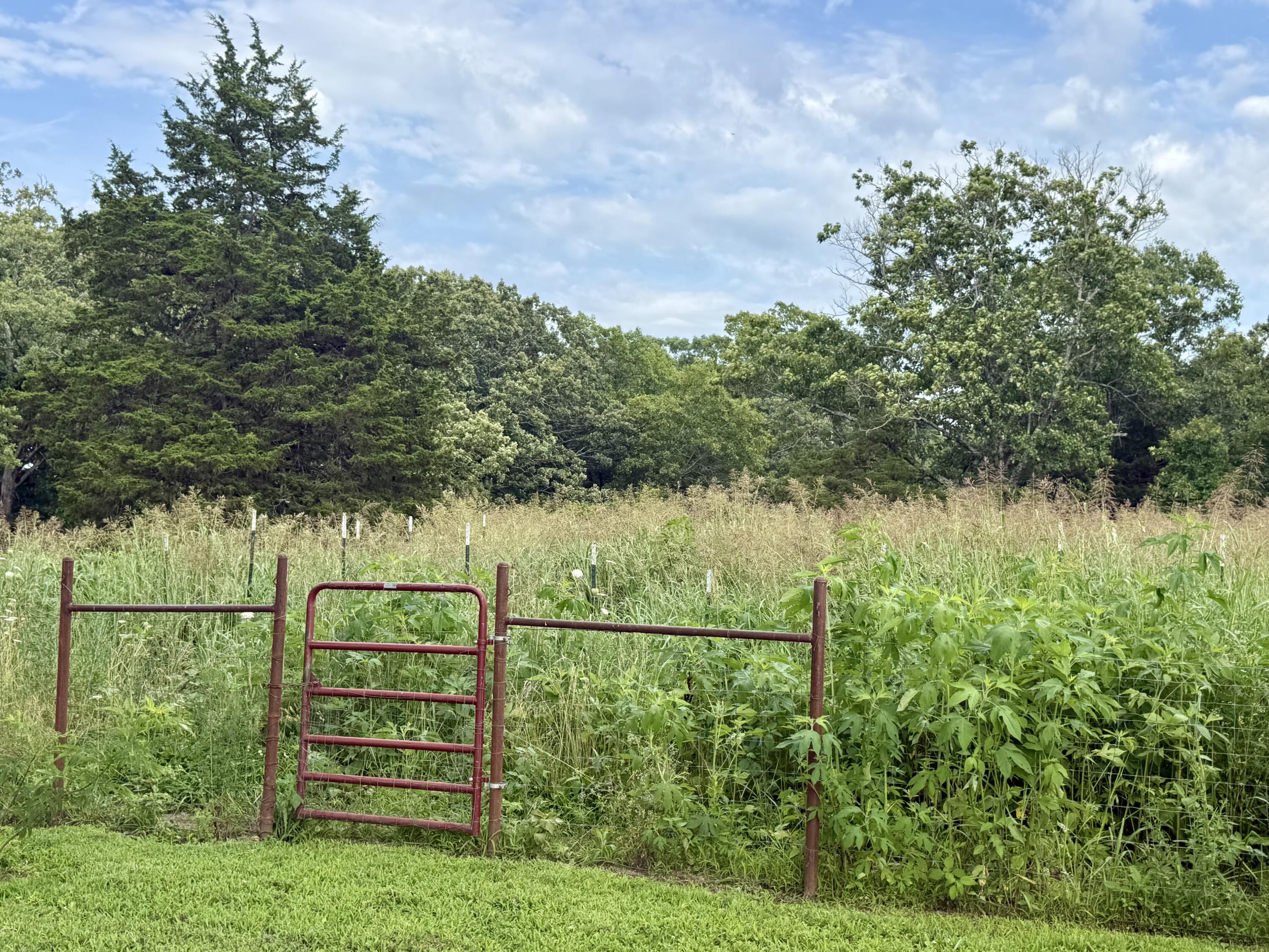 2463 State Highway Dd Property Photo 58