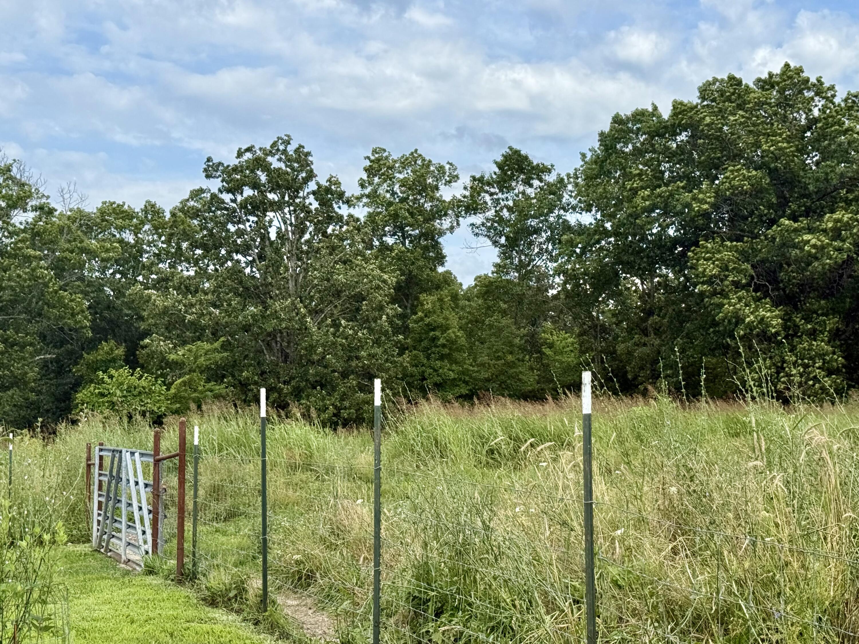 2463 State Highway Dd Property Photo 60