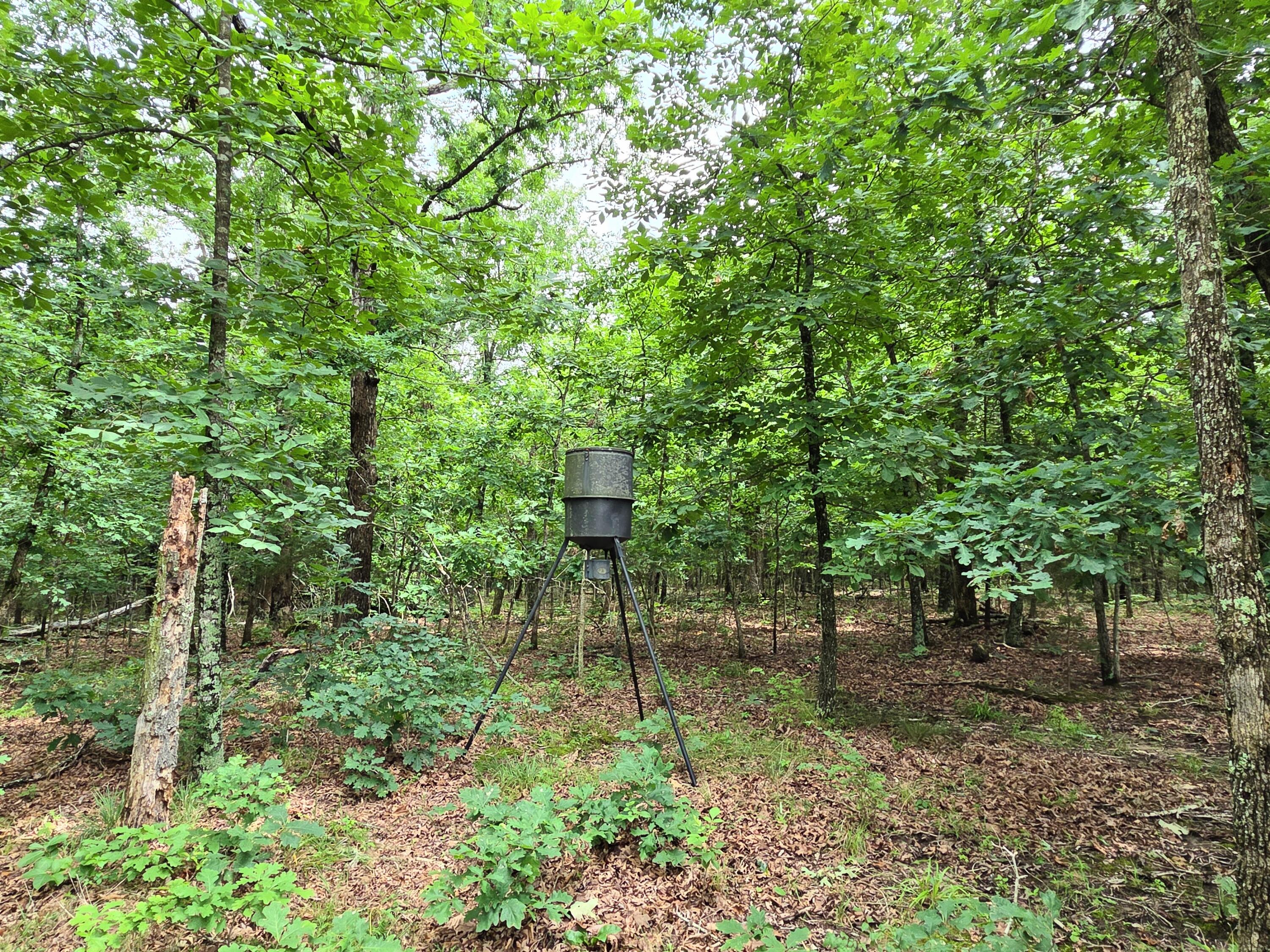 1346 Golf Course Road Property Photo 8