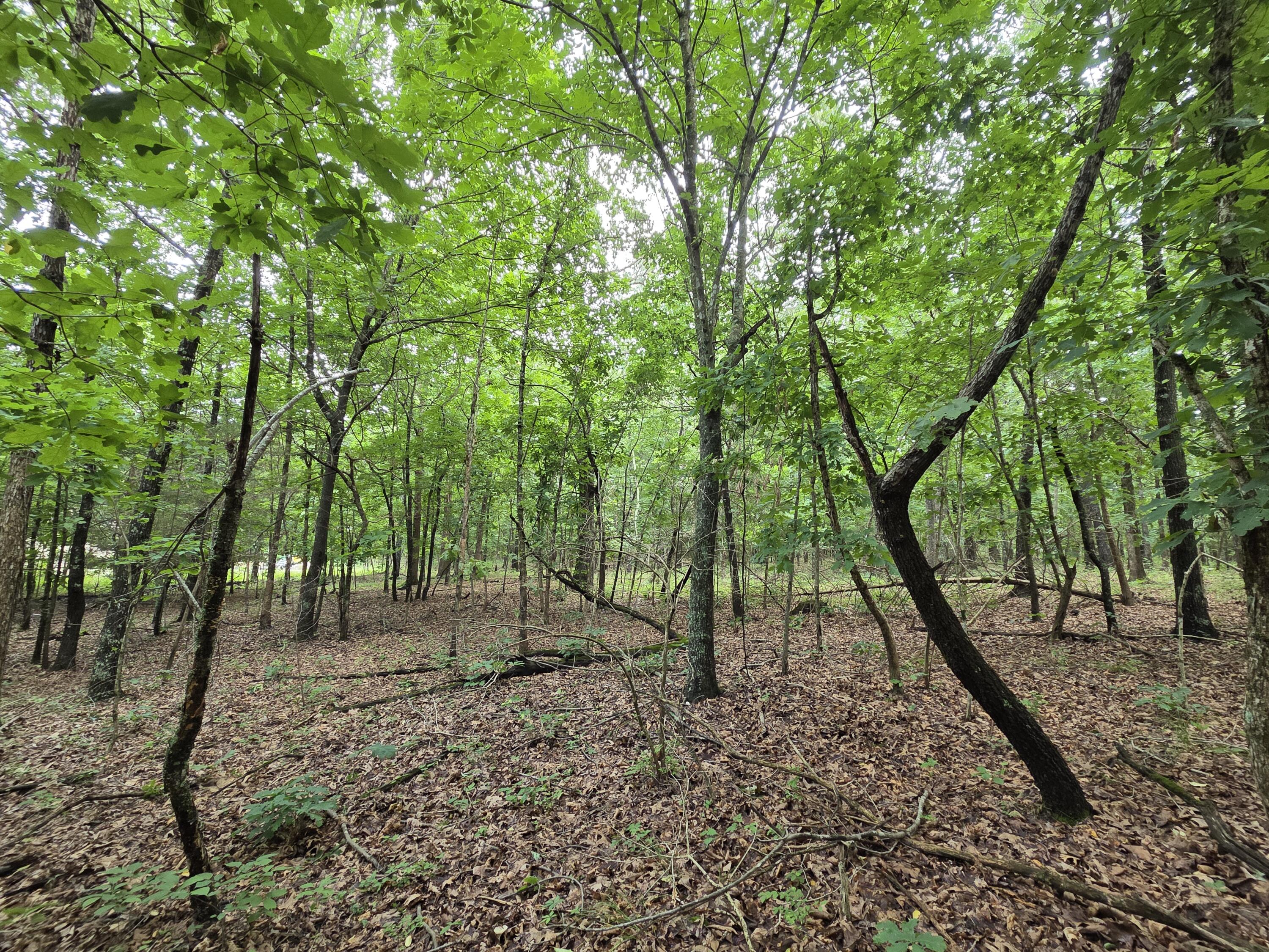 000 Golf Course Road Property Photo 3