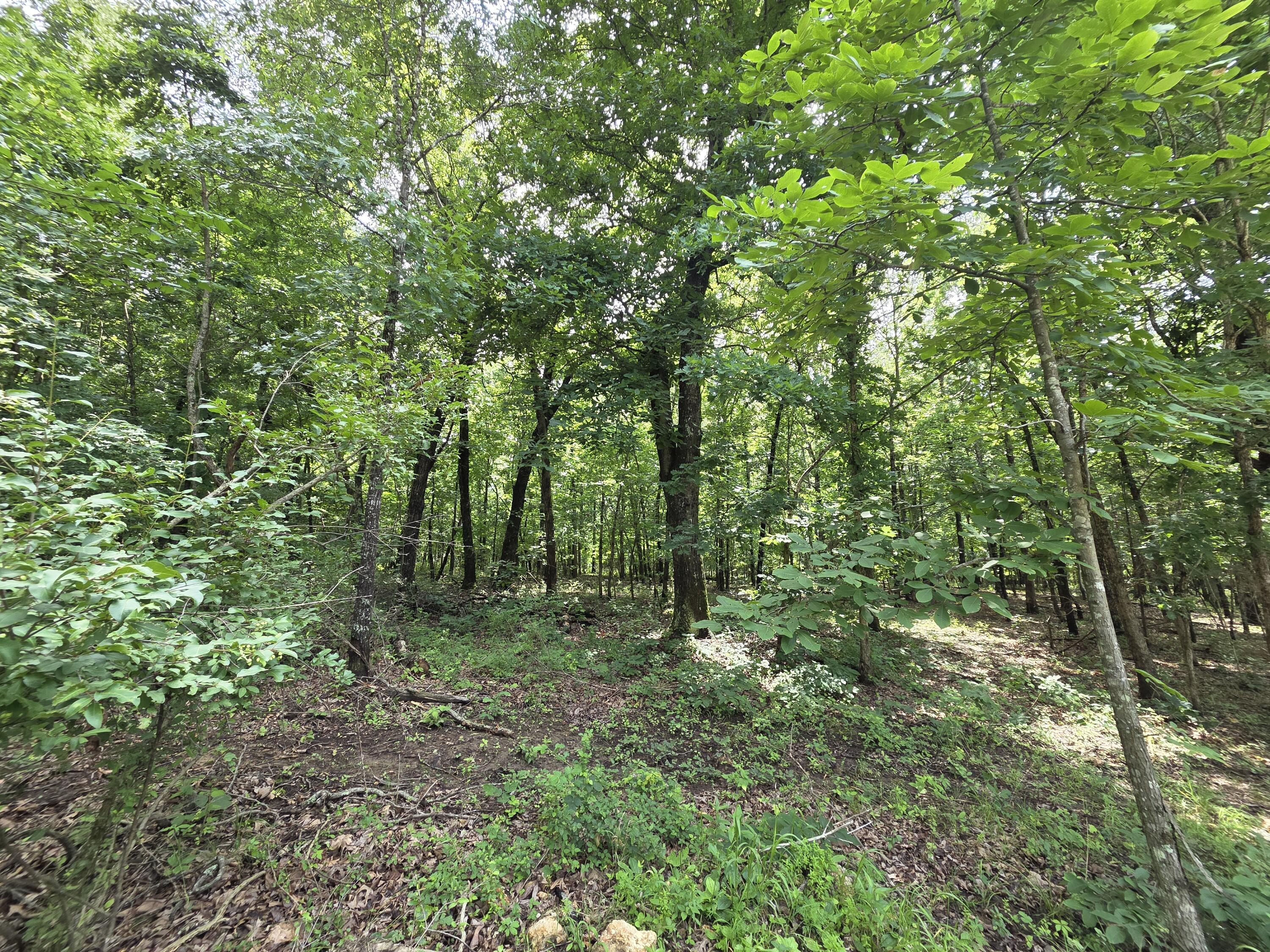 000 Golf Course Road Property Photo 5