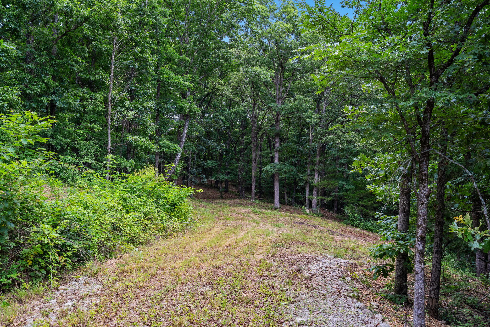 Tbd Deer Mountain Road Property Photo 3
