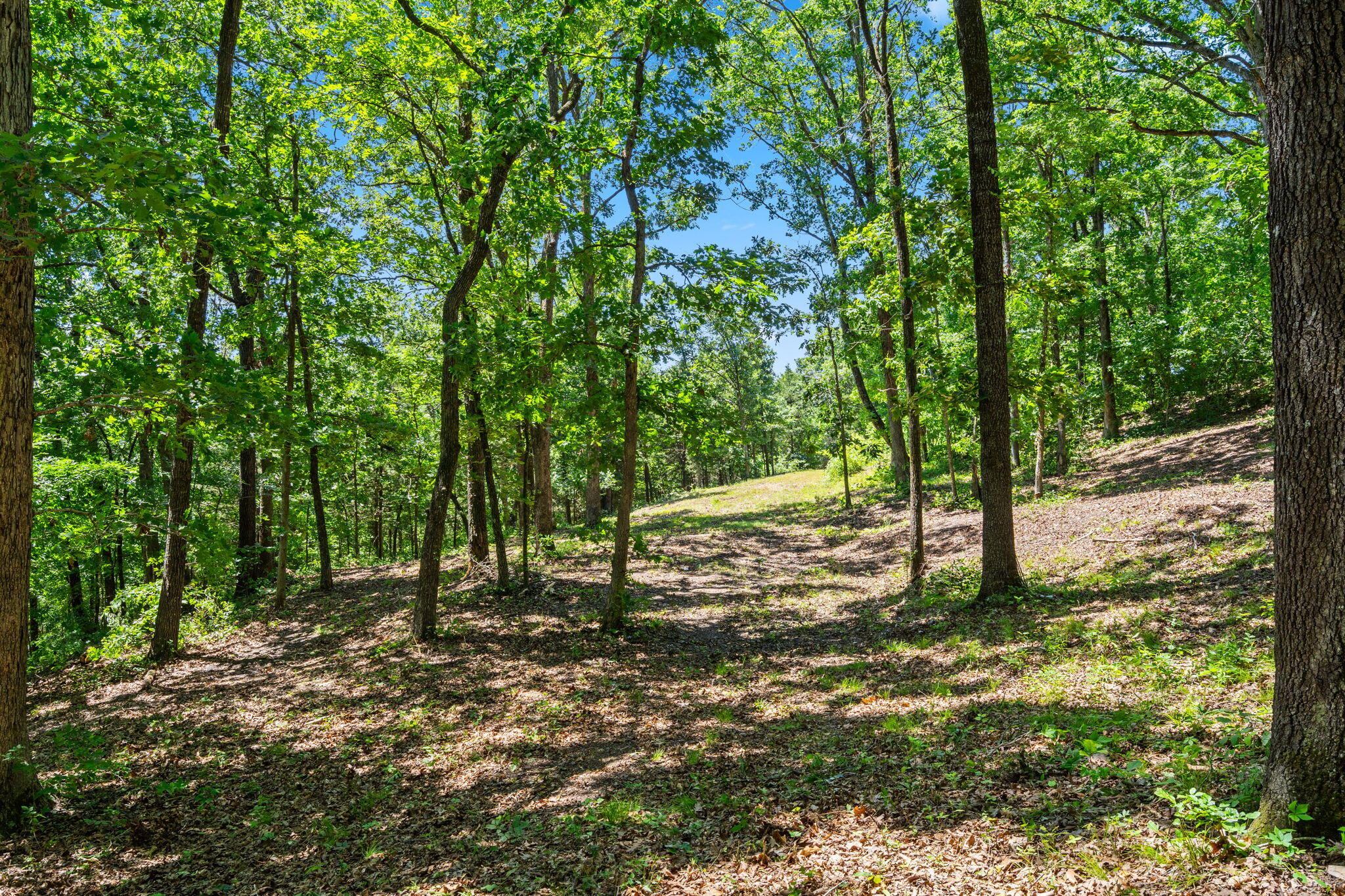 Tbd Deer Mountain Road Property Photo 4