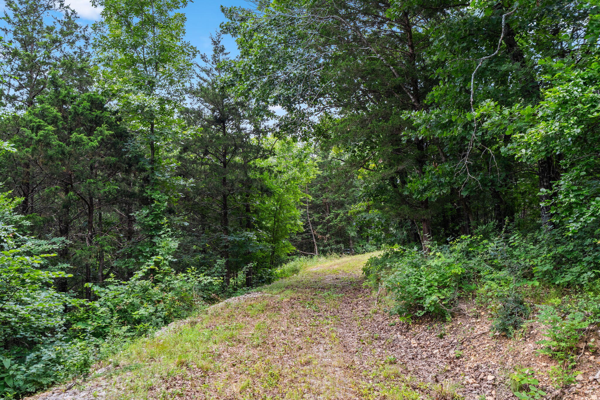 Tbd Deer Mountain Road Property Photo 5