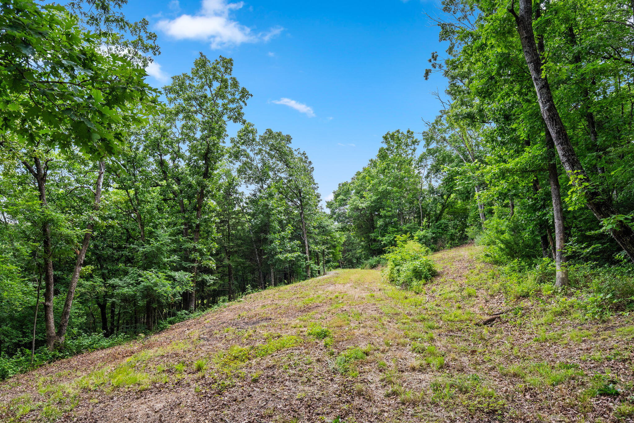 Tbd Deer Mountain Road Property Photo 6