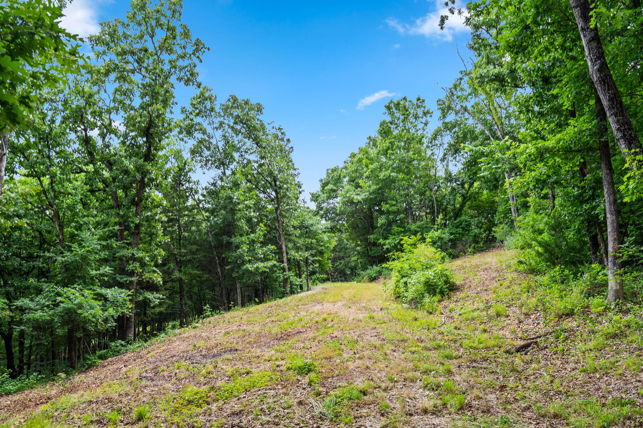 Tbd Deer Mountain Road Property Photo 7