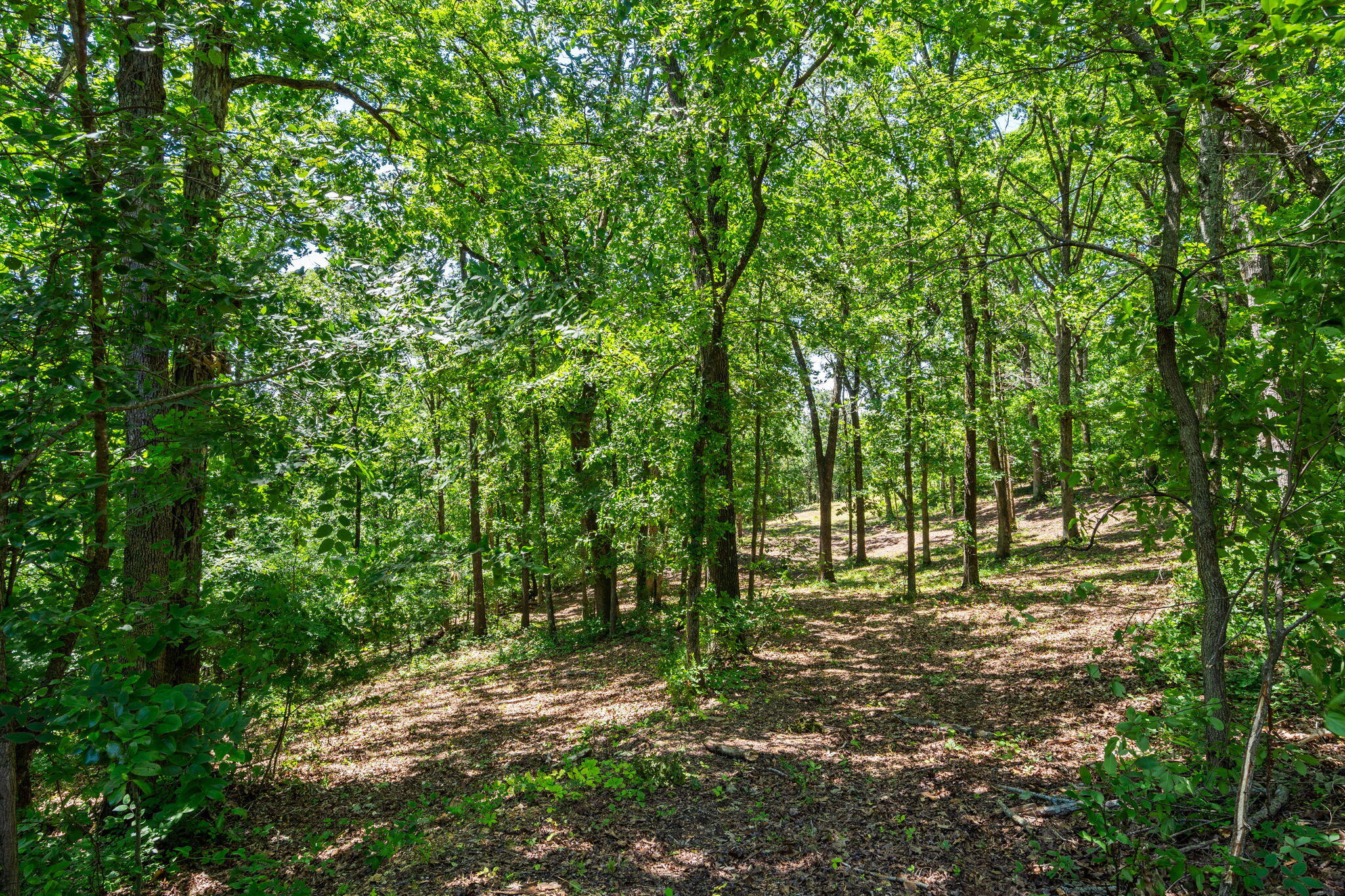 Tbd Deer Mountain Road Property Photo 8
