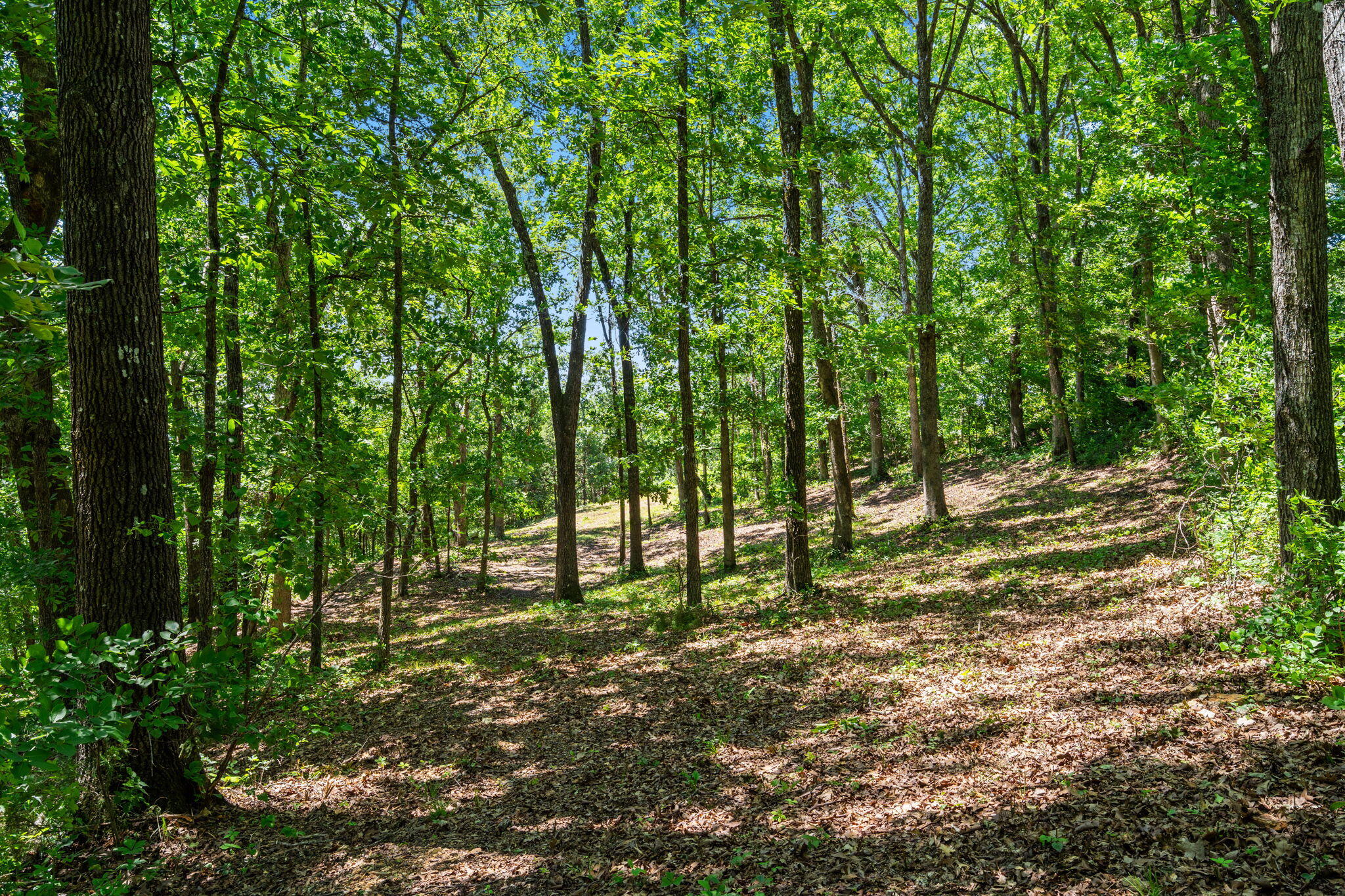 Tbd Deer Mountain Road Property Photo 9