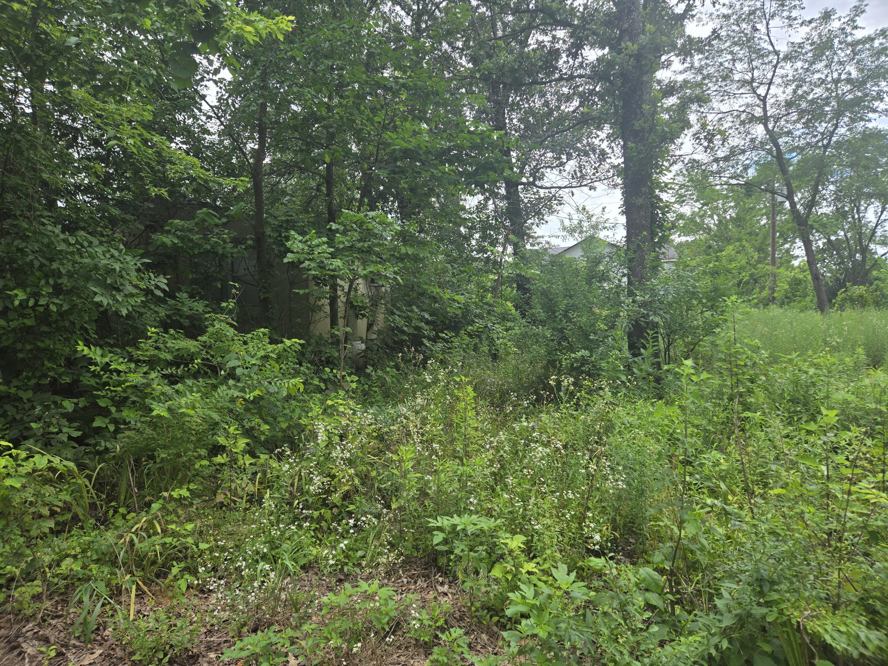 3287 Pomme De Terre Circle Property Photo 3
