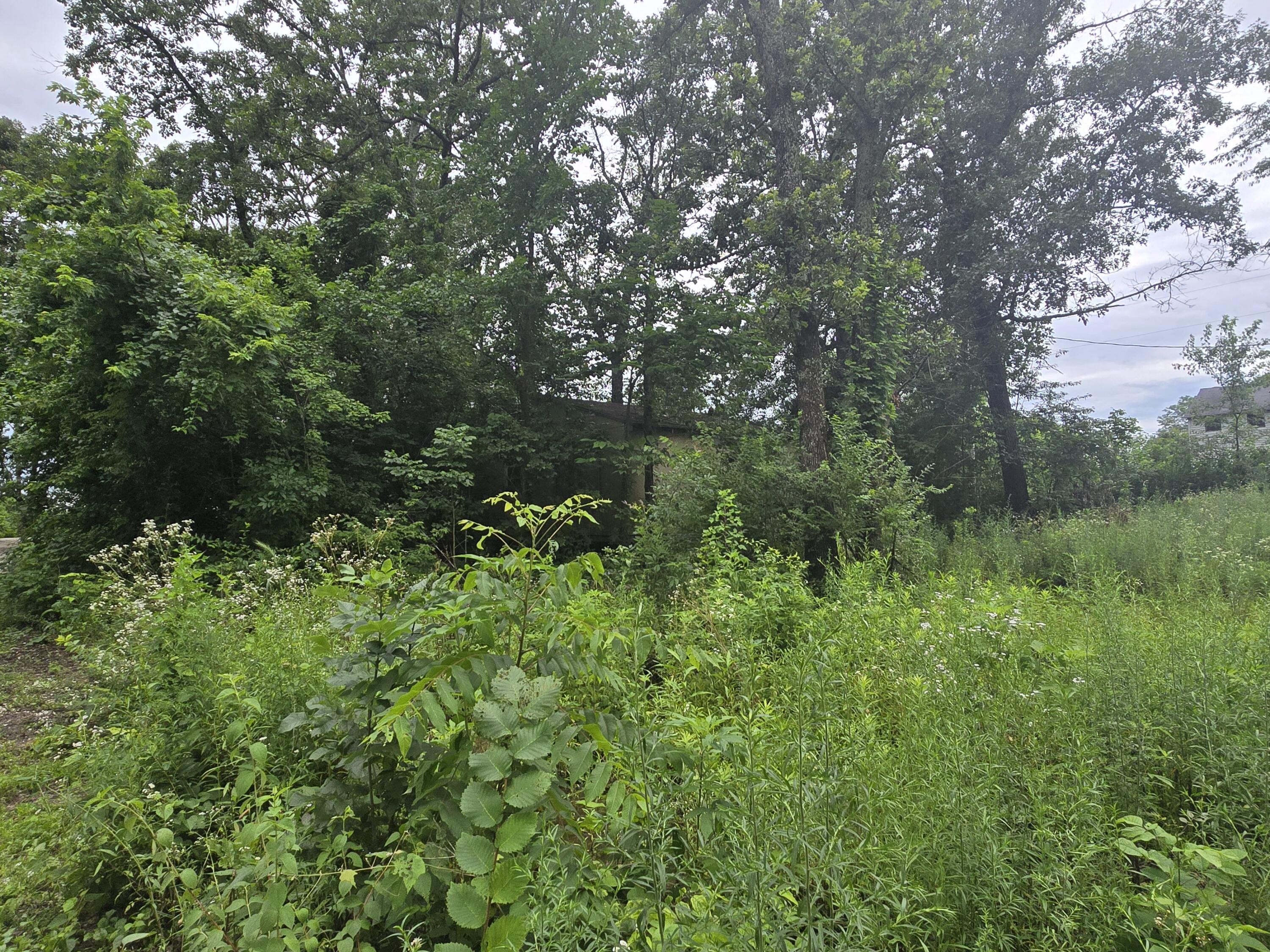 3287 Pomme De Terre Circle Property Photo 7