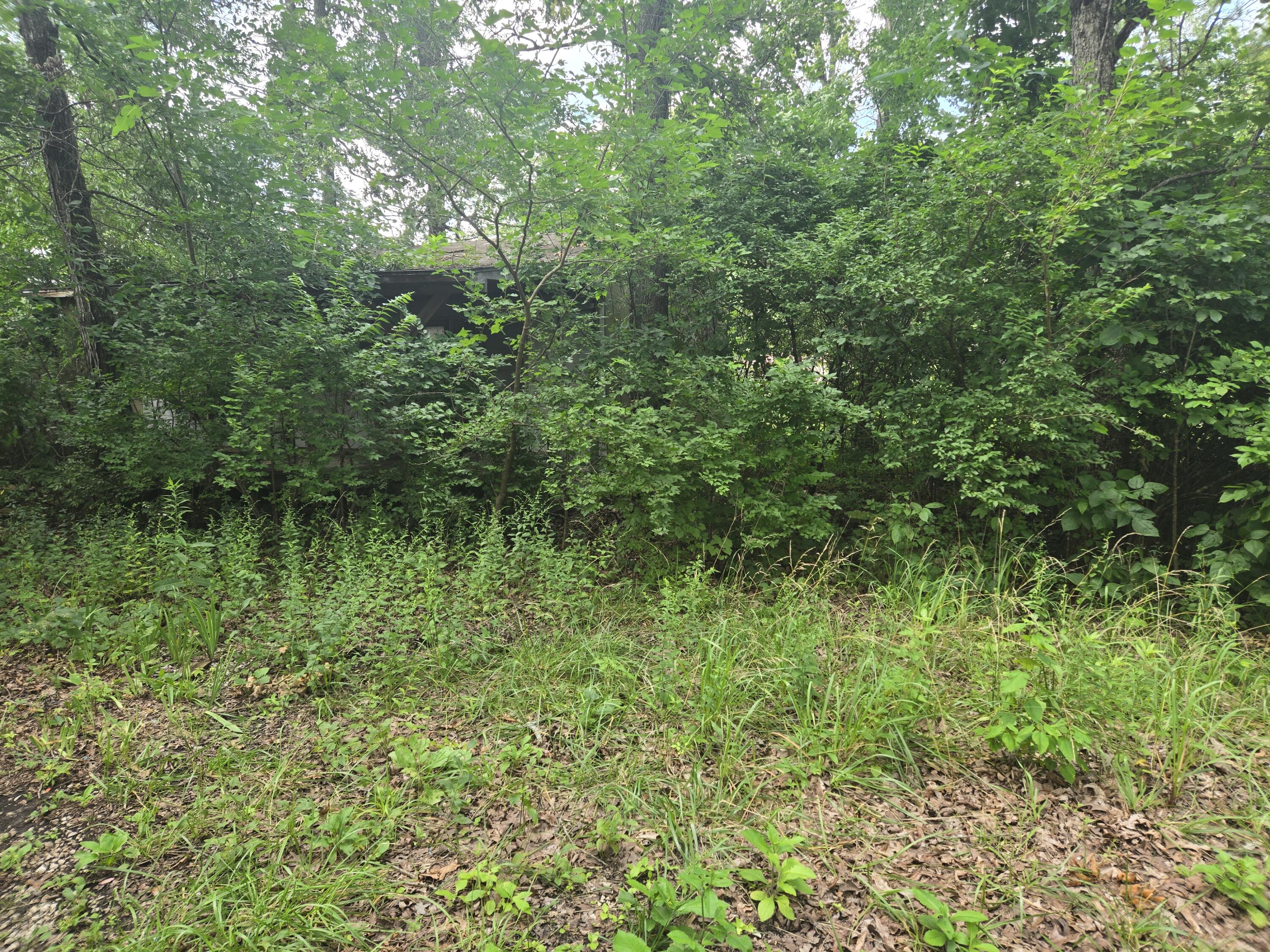3287 Pomme De Terre Circle Property Photo 9