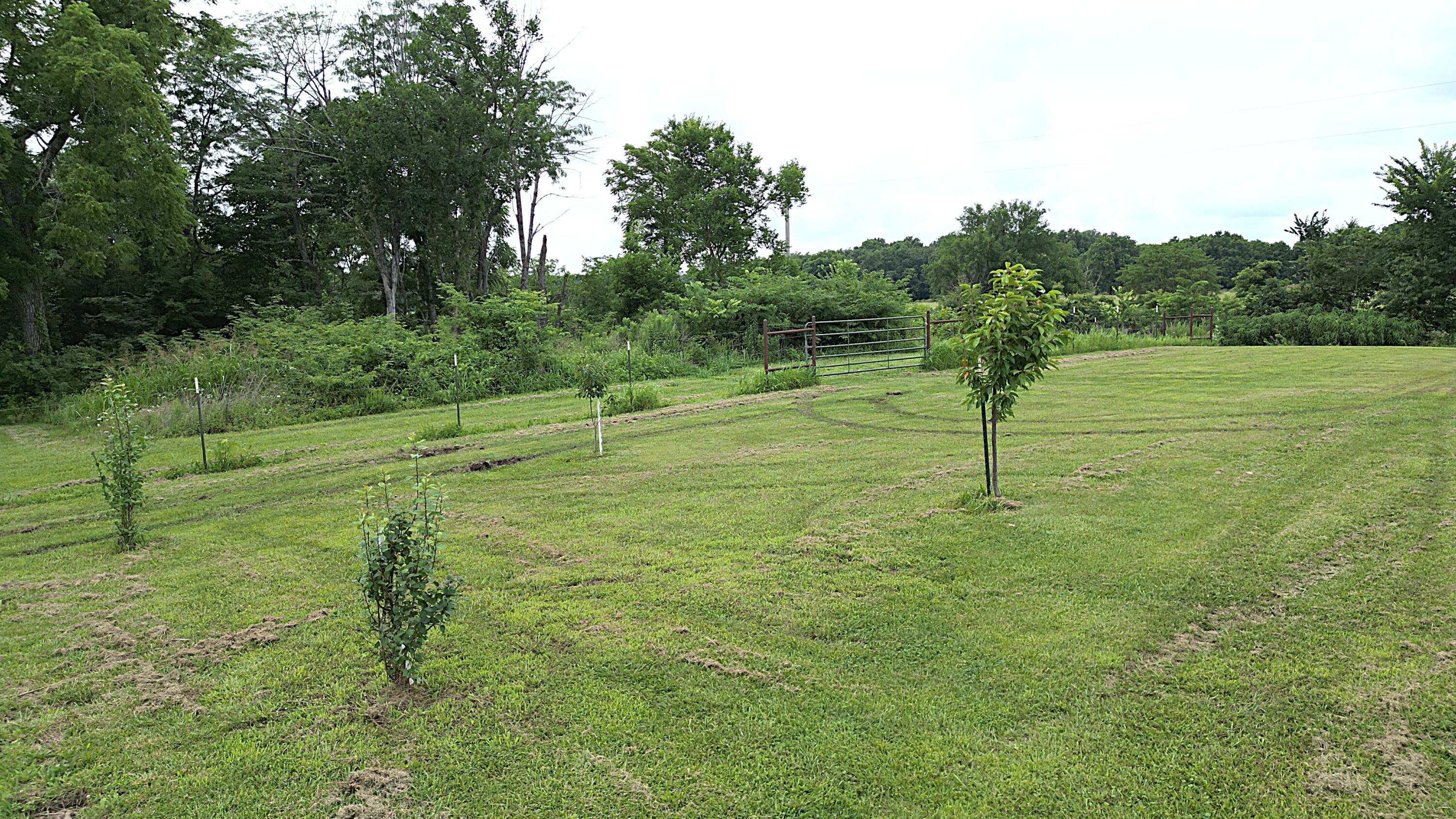 1738 East 400th Road Property Photo 31