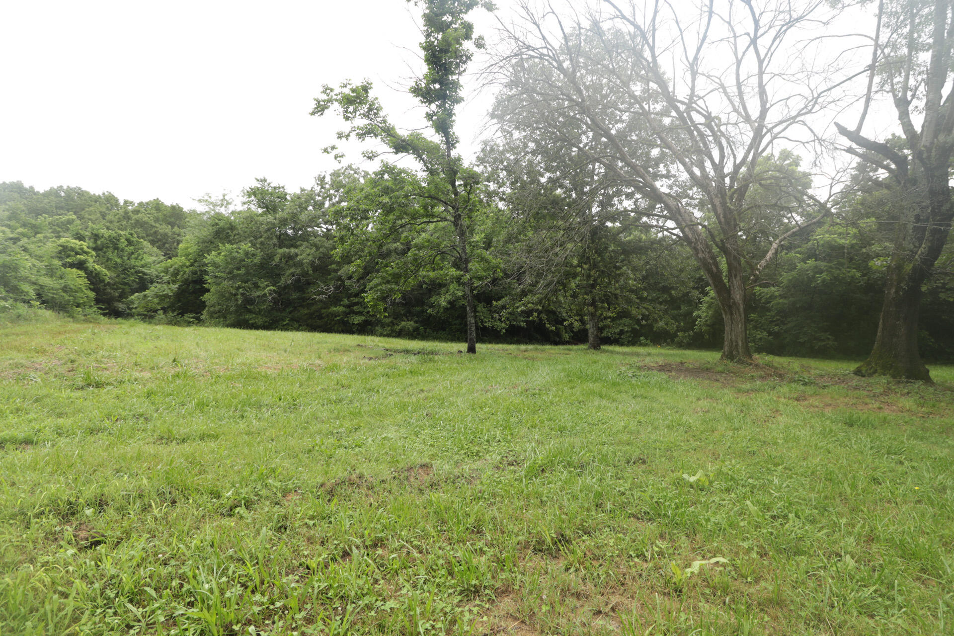 406 Horner Drive Property Photo 23